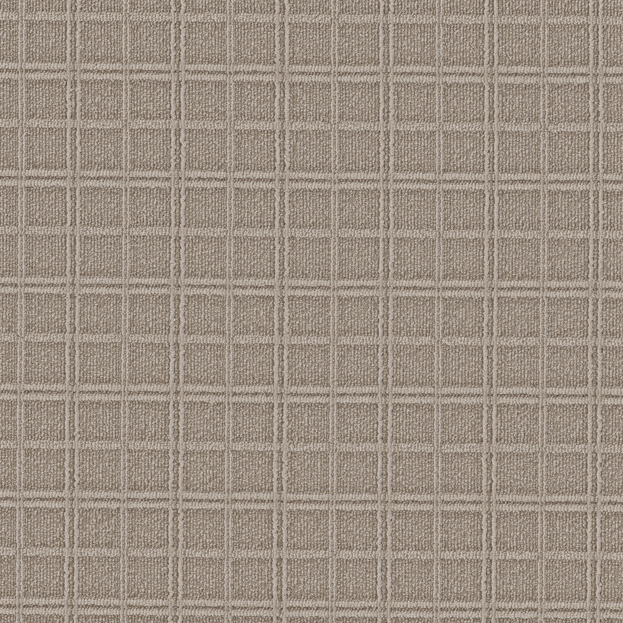Fossil