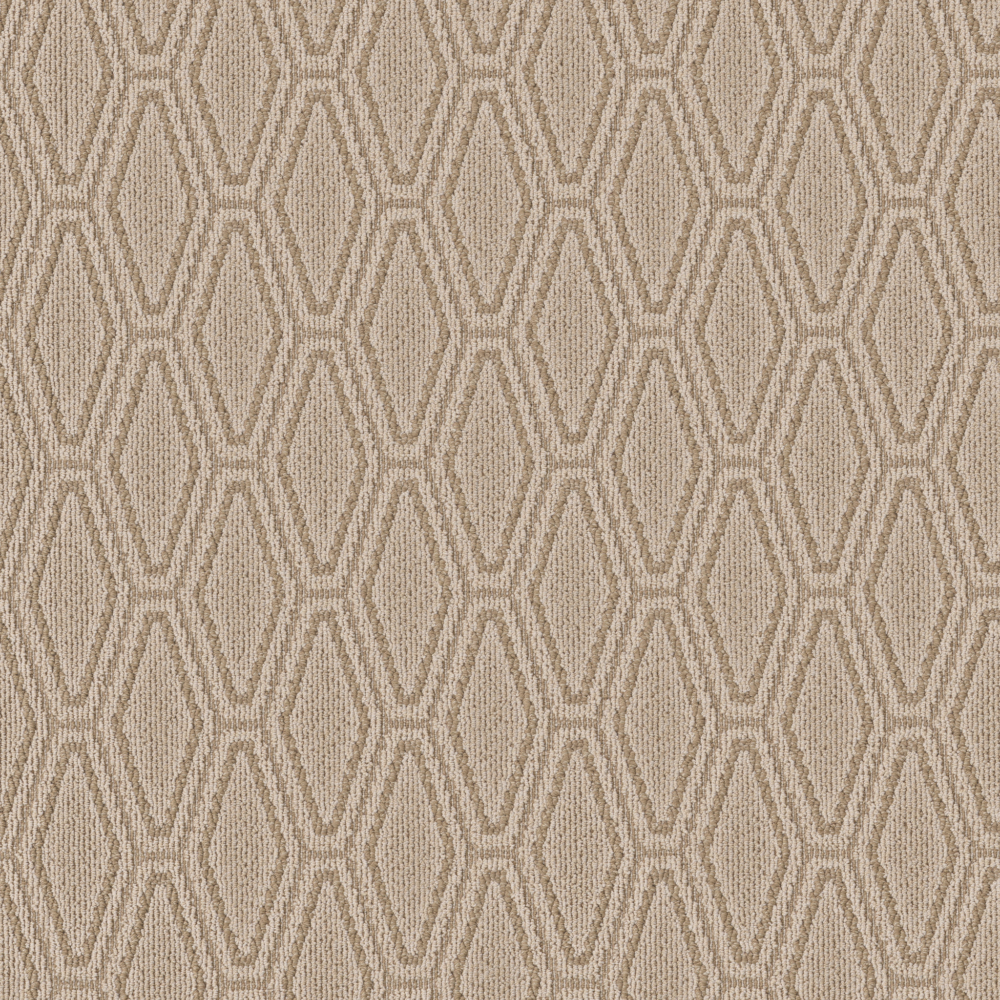 Casual Beauty-Cork-ZB292_00273