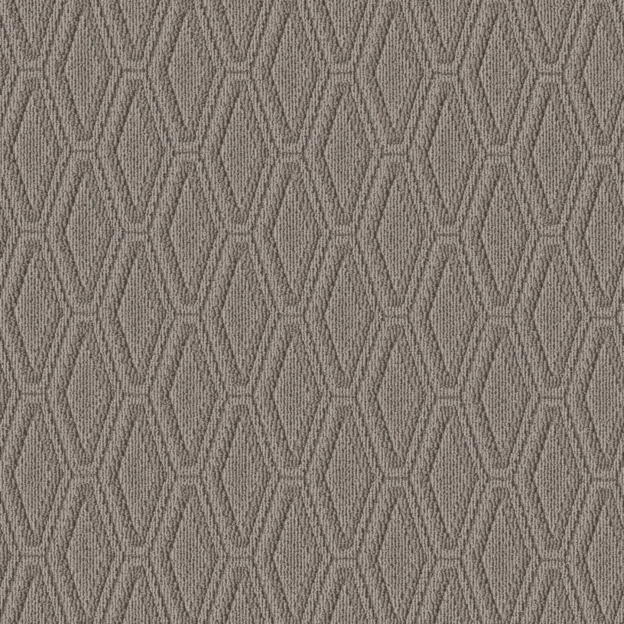 Casual Beauty-Shady-ZB292_00536