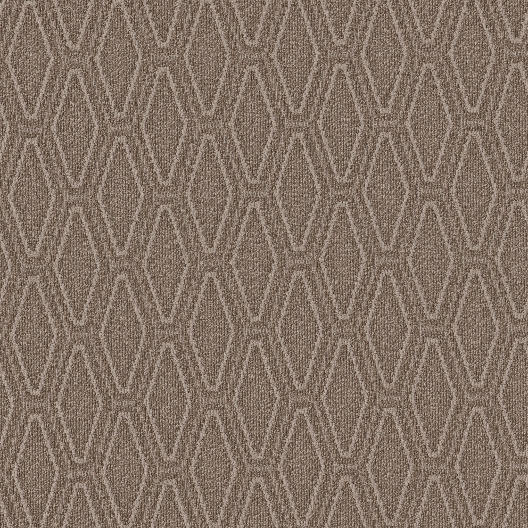 Casual Beauty-Tuscan-ZB292_00775