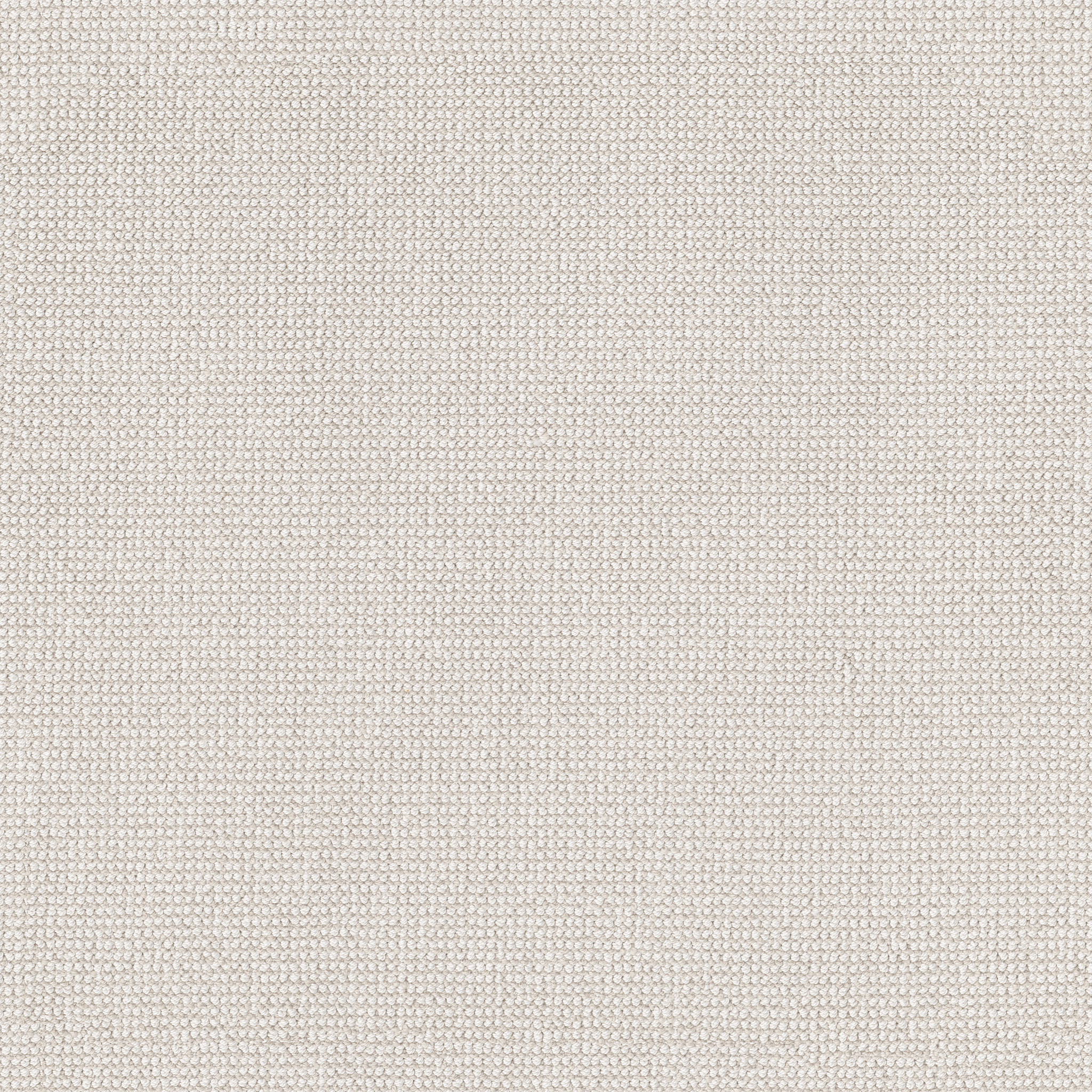 Soft Focus - Cotton - ZB316_00111