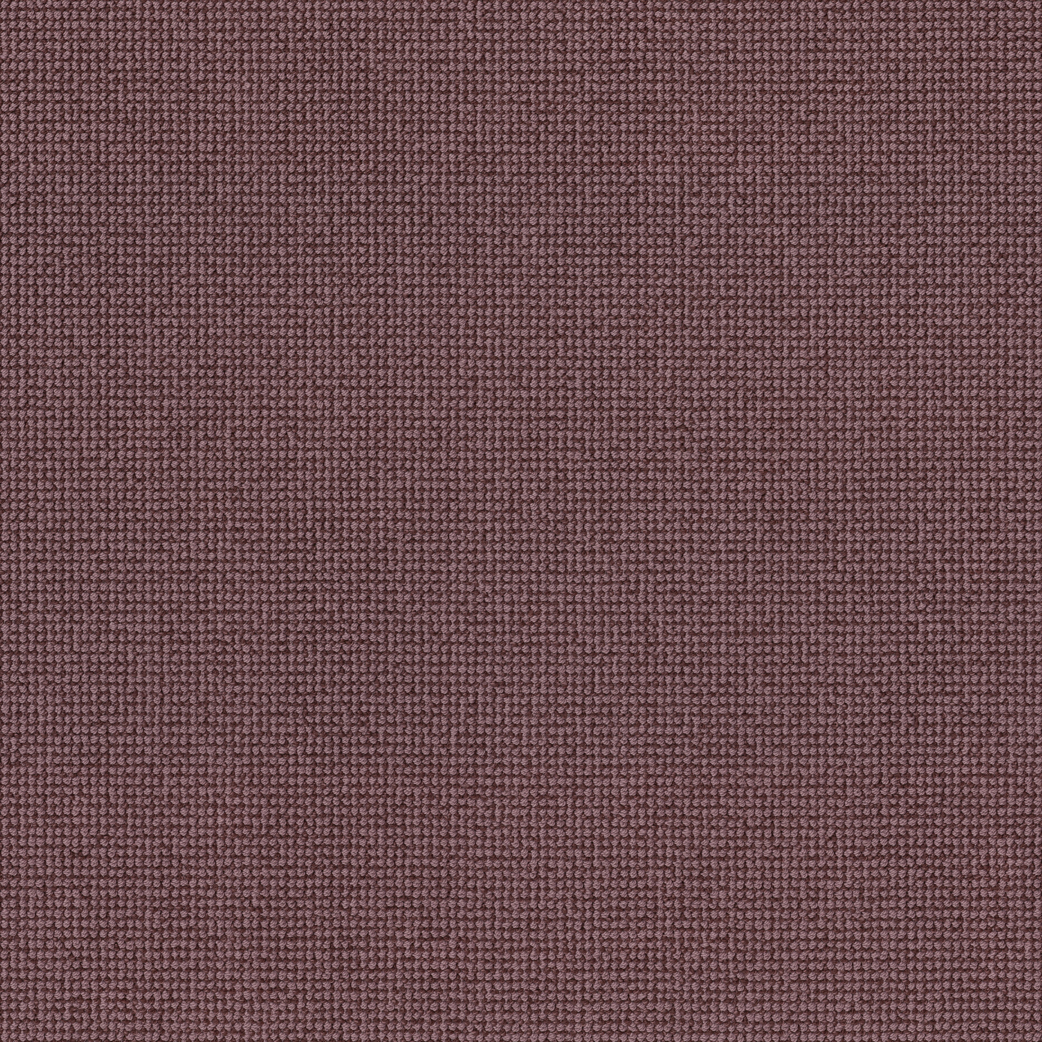 Soft Focus - Mahogany - ZB316_00894