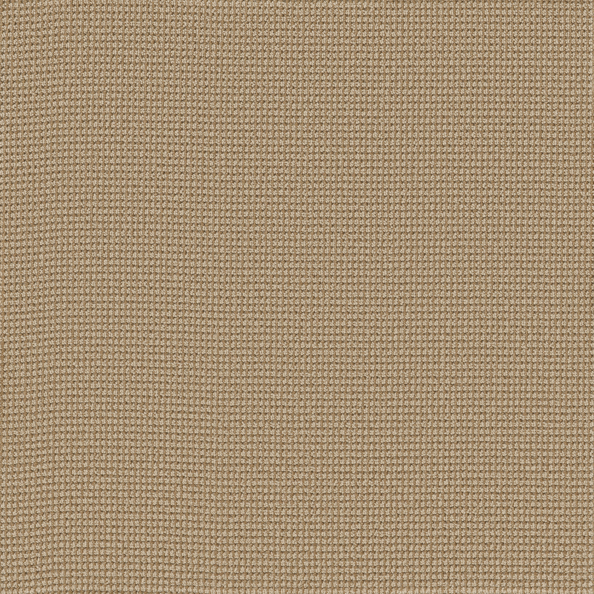 Ethereal - Topaz - ZB317_00223