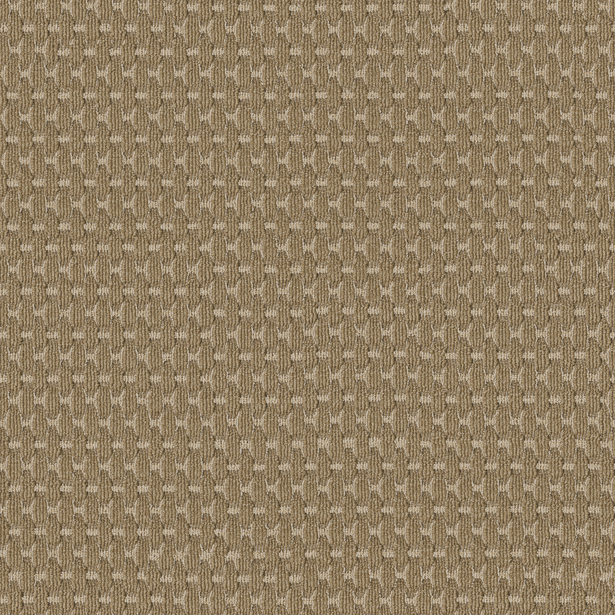 Chic Style - Amber - ZB318_00233