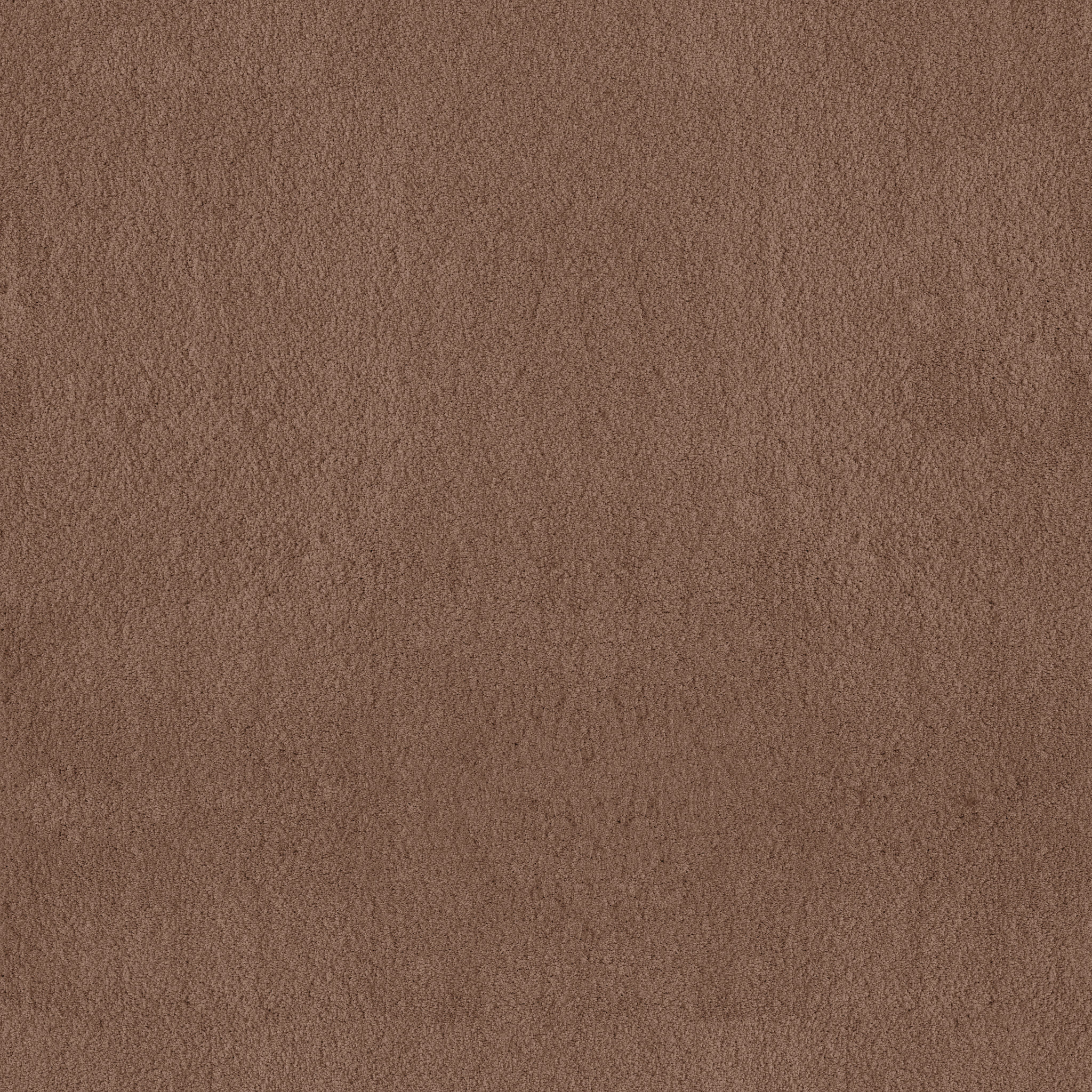 Instant Classic II - Sugar Maple - ZB322_00741