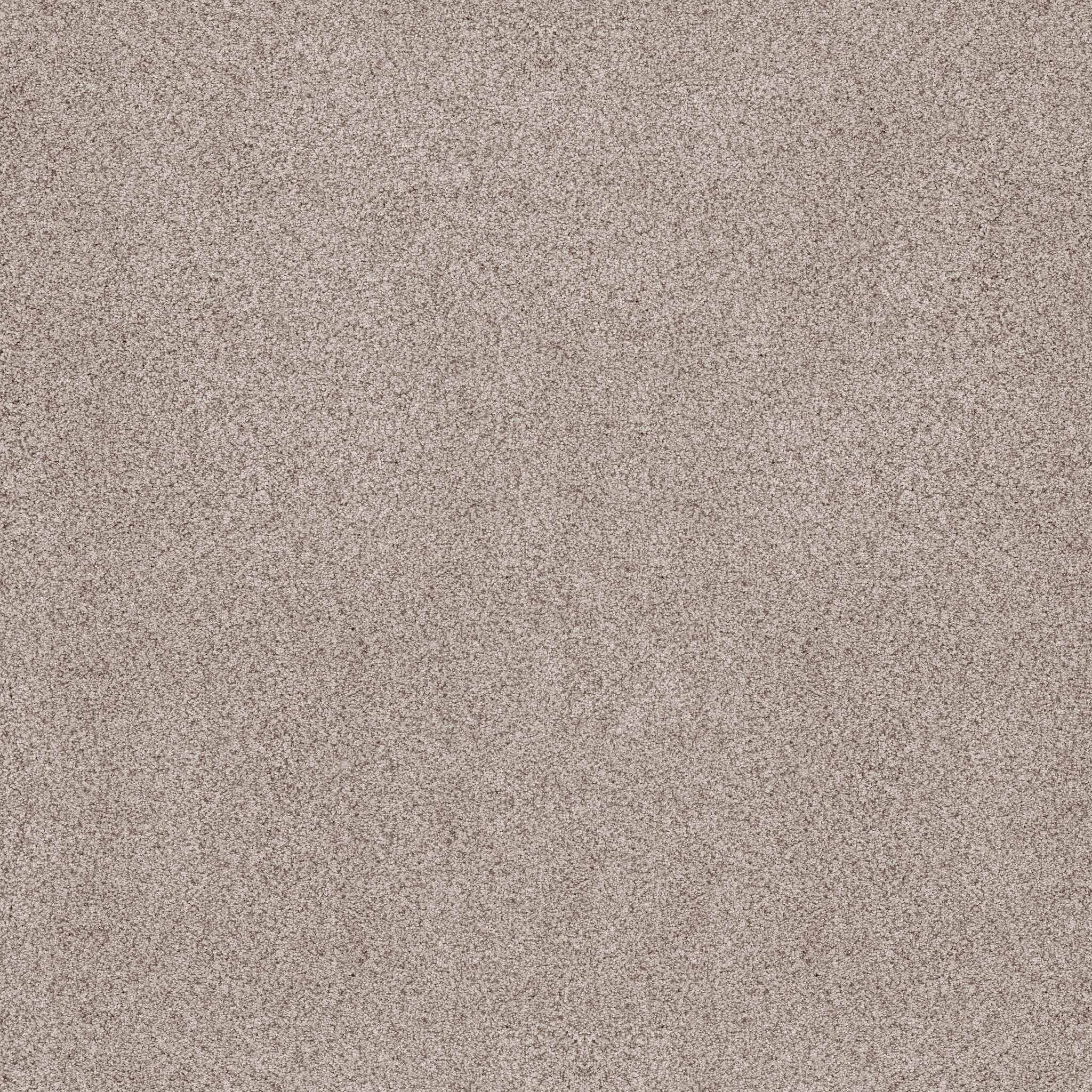 Coastal Haven II-Granite Dust-ZB324_00152