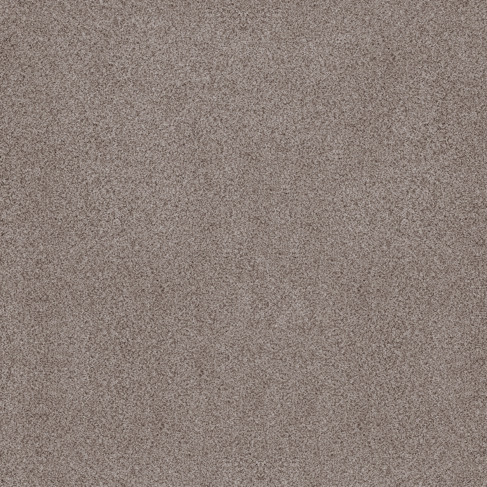 Coastal Haven II-Heritage Taupe-ZB324_00751