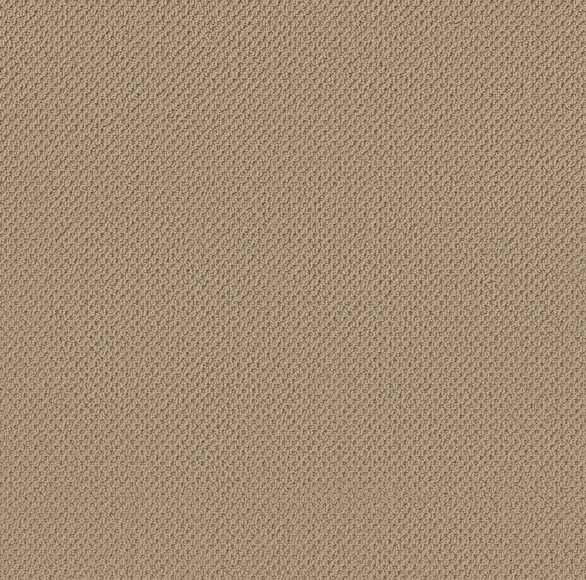 Serene Retreat-Safari-ZB325_00105