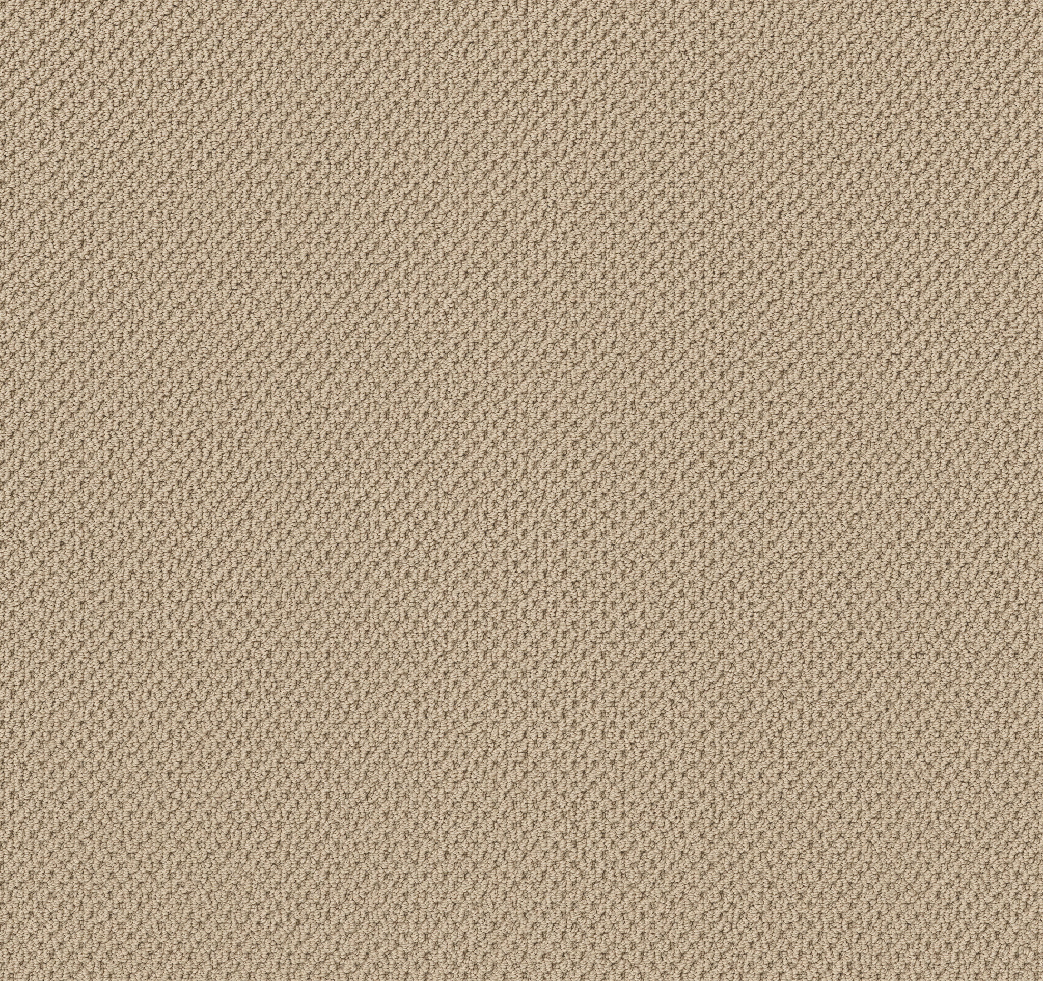 Serene Retreat-Shoreline-ZB325_00133