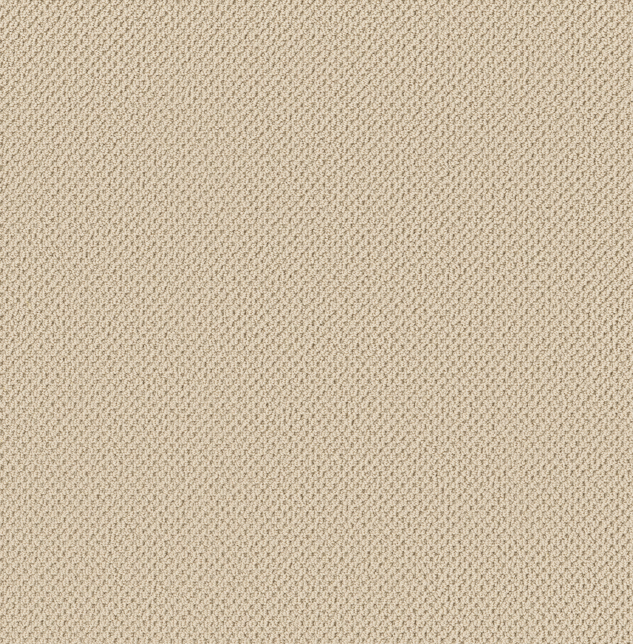 Serene Retreat-Creamy-ZB325_00140