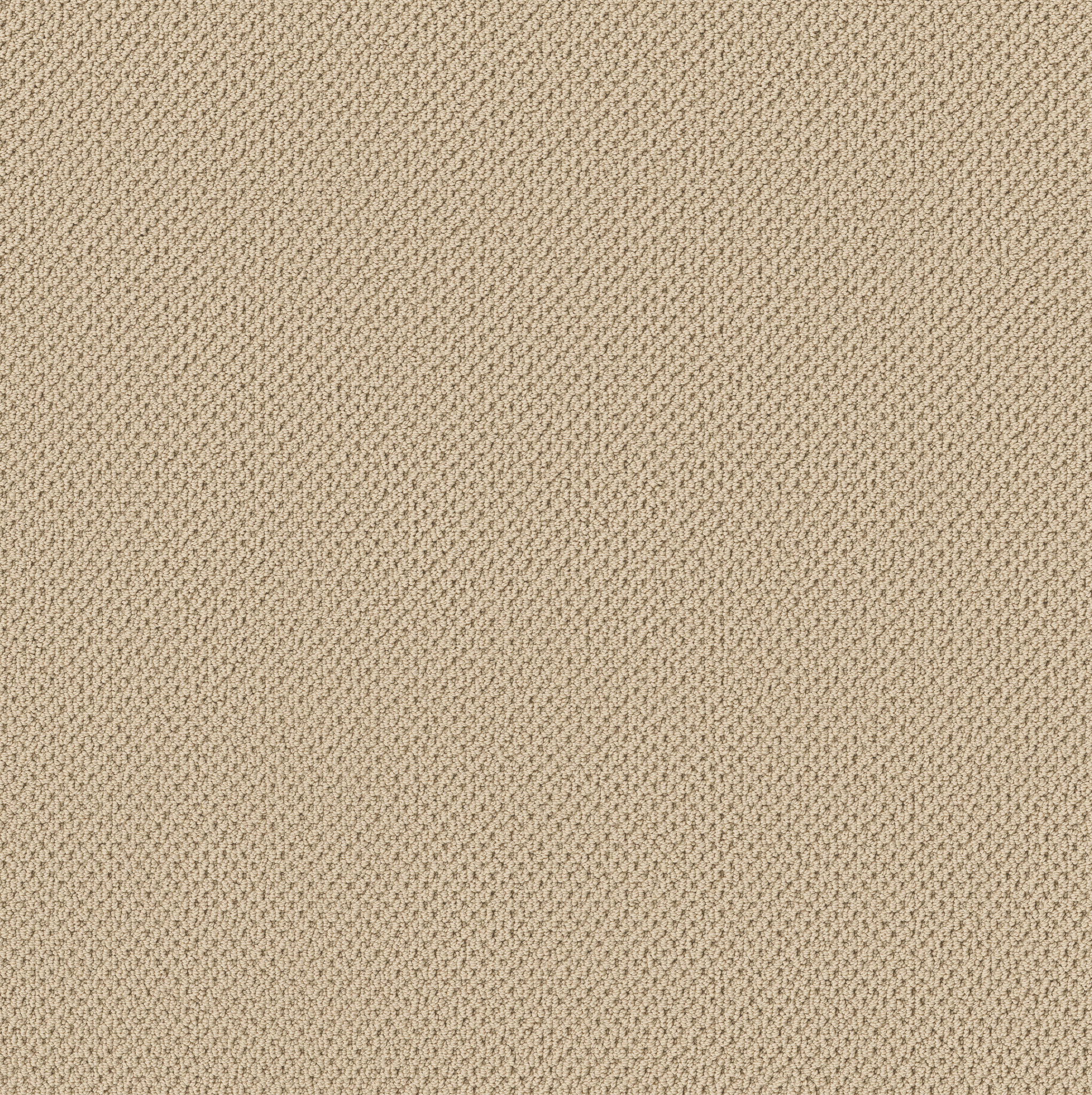 Serene Retreat-Bamboo-ZB325_00141