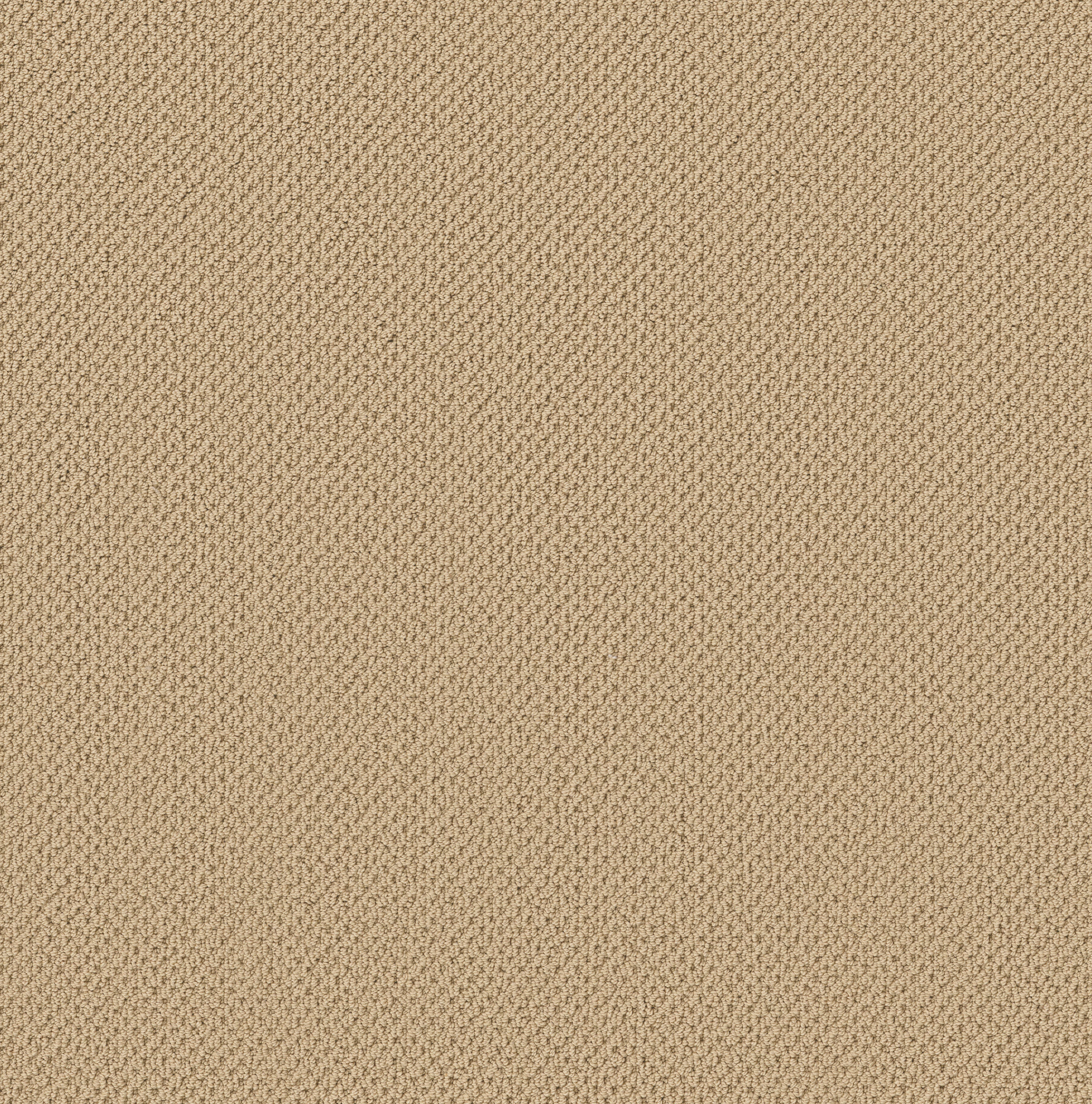 Serene Retreat-Plateau-ZB325_00142