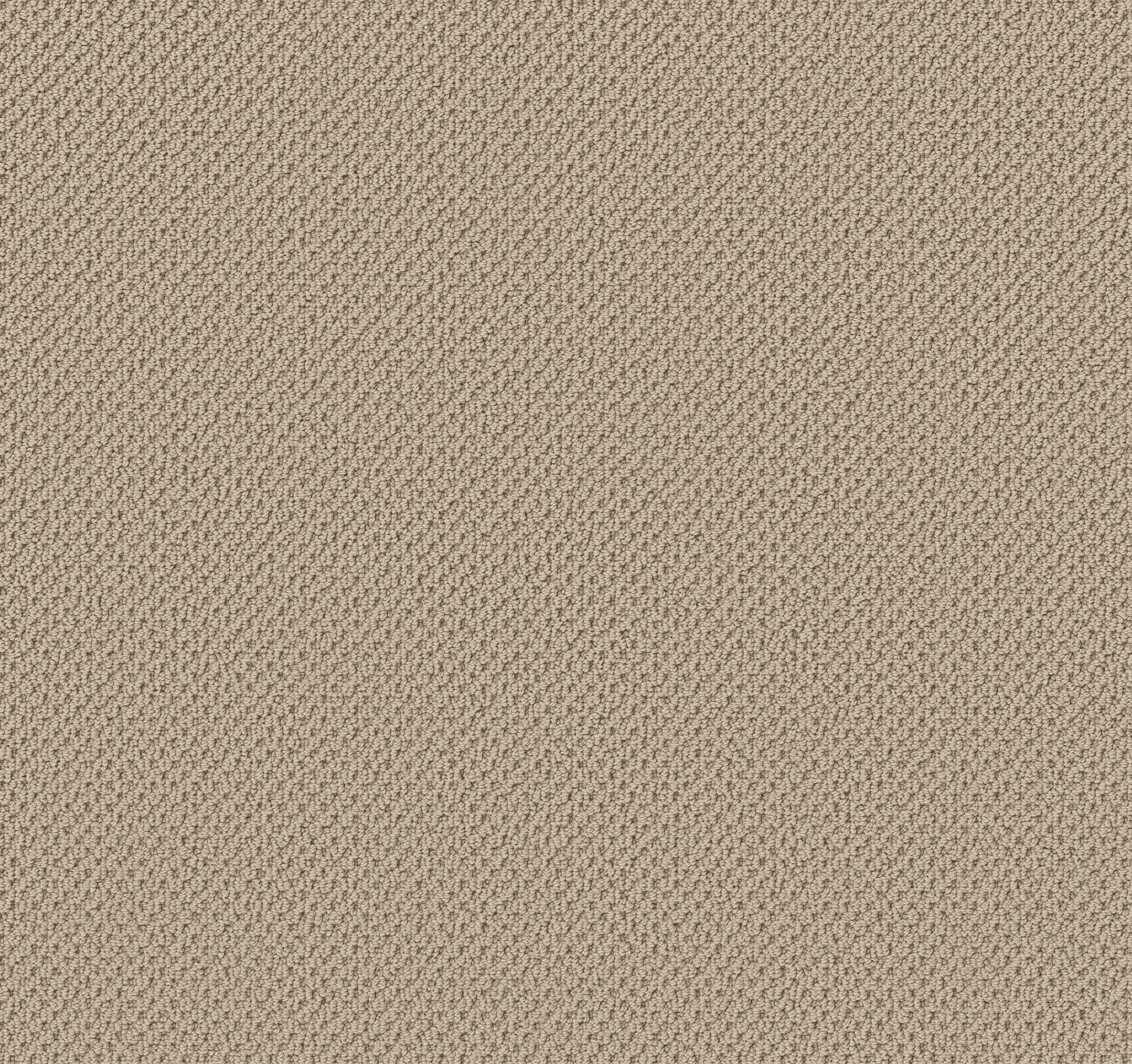 Serene Retreat-Barista-ZB325_00151