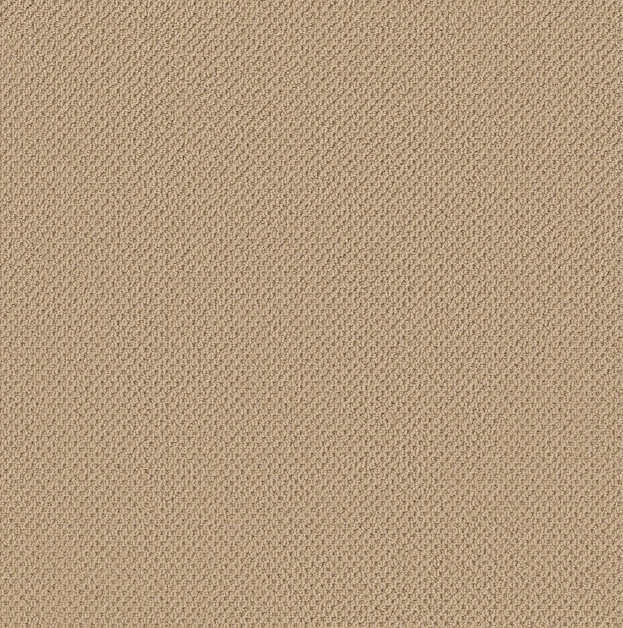 Serene Retreat-Golden Rule-ZB325_00201