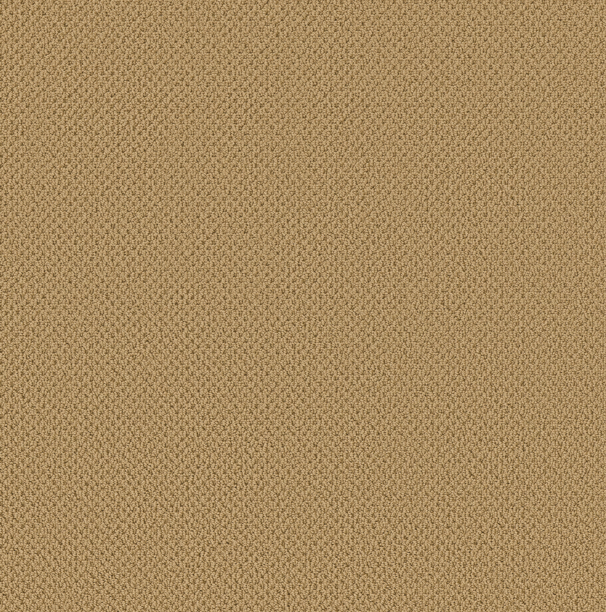 Serene Retreat-Summer-ZB325_00240