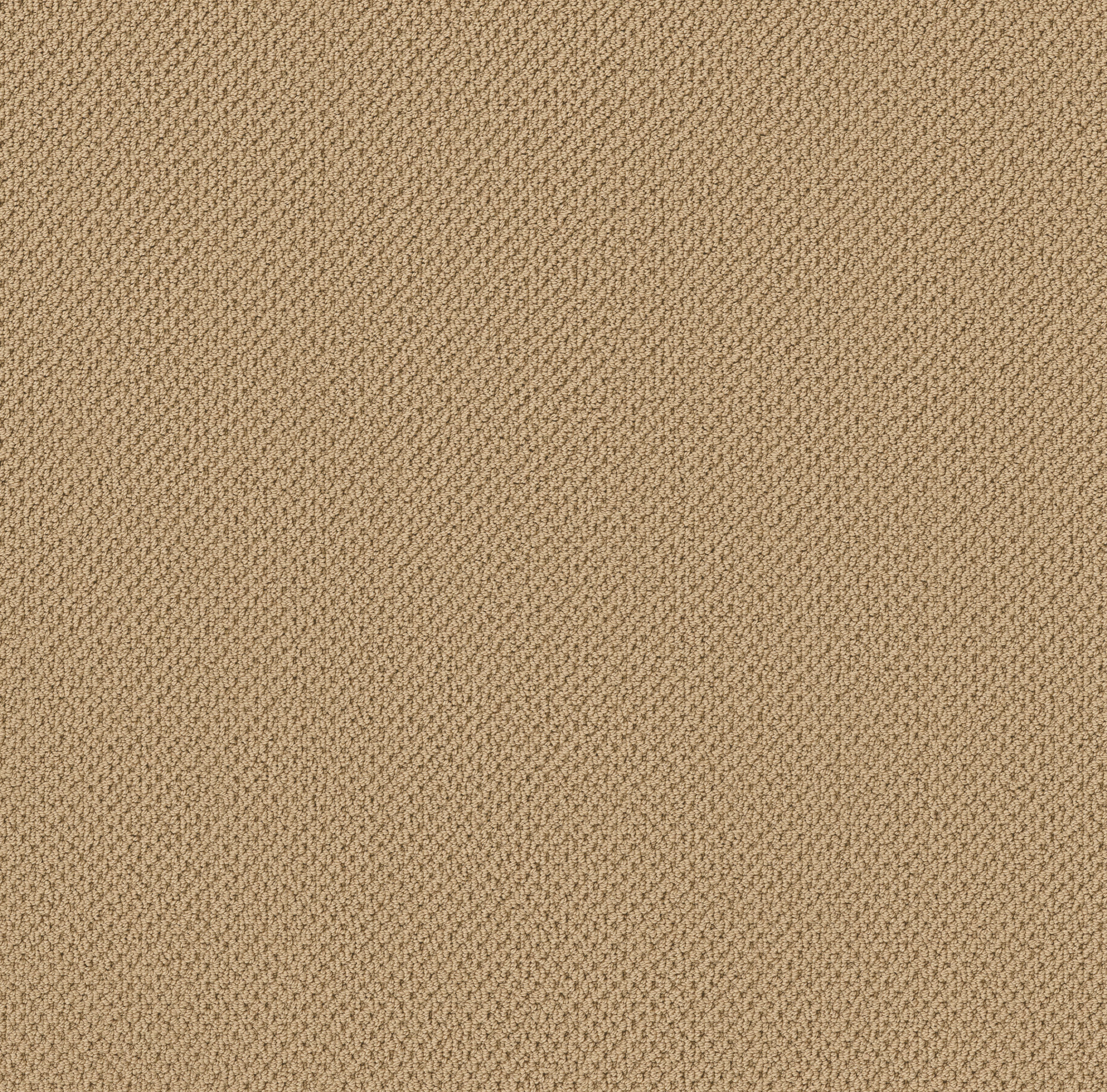 Serene Retreat-Sisal-ZB325_00241