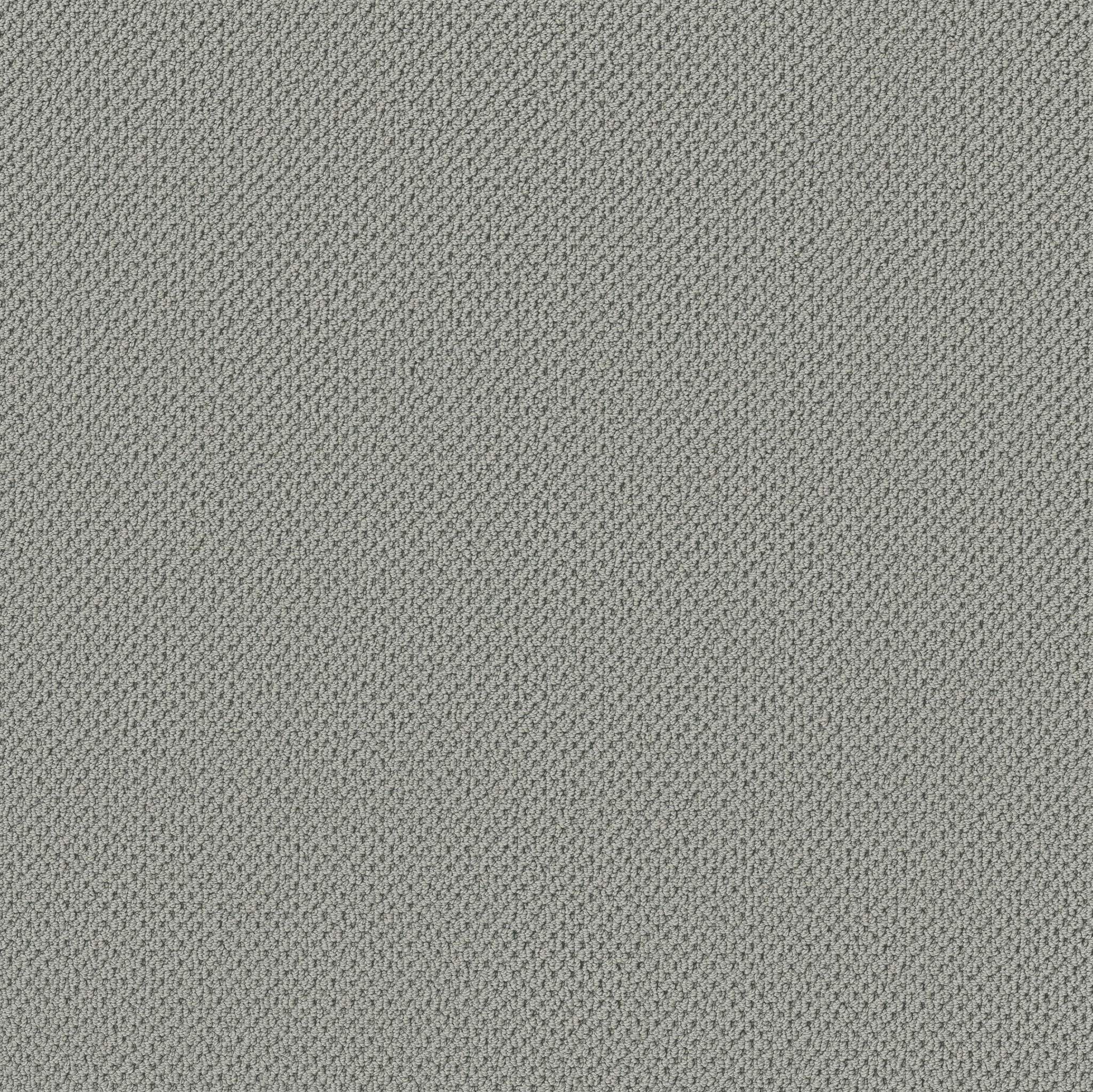 Serene Retreat-Illusive-ZB325_00441