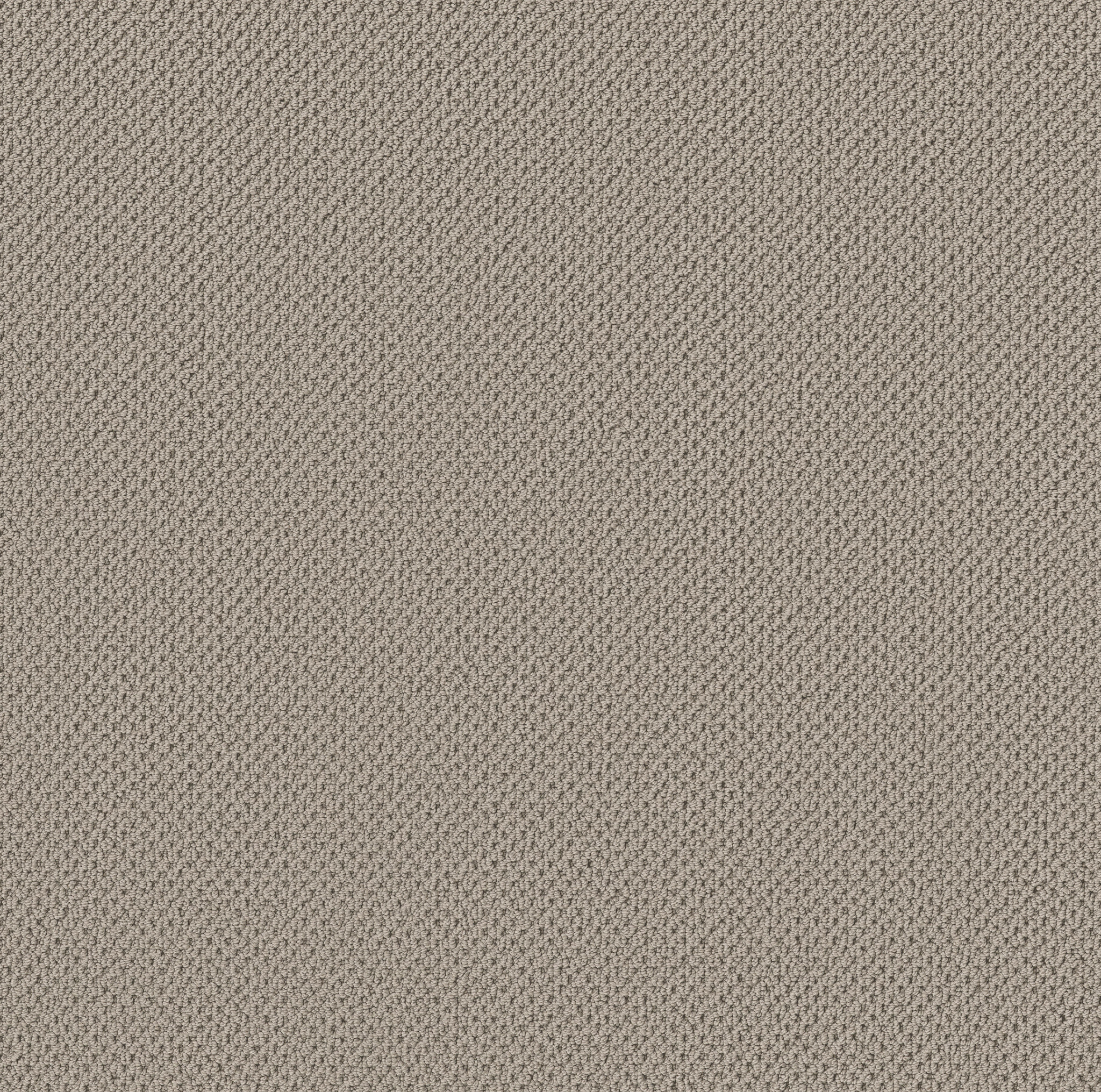 Serene Retreat-Lady In Gray-ZB325_00550