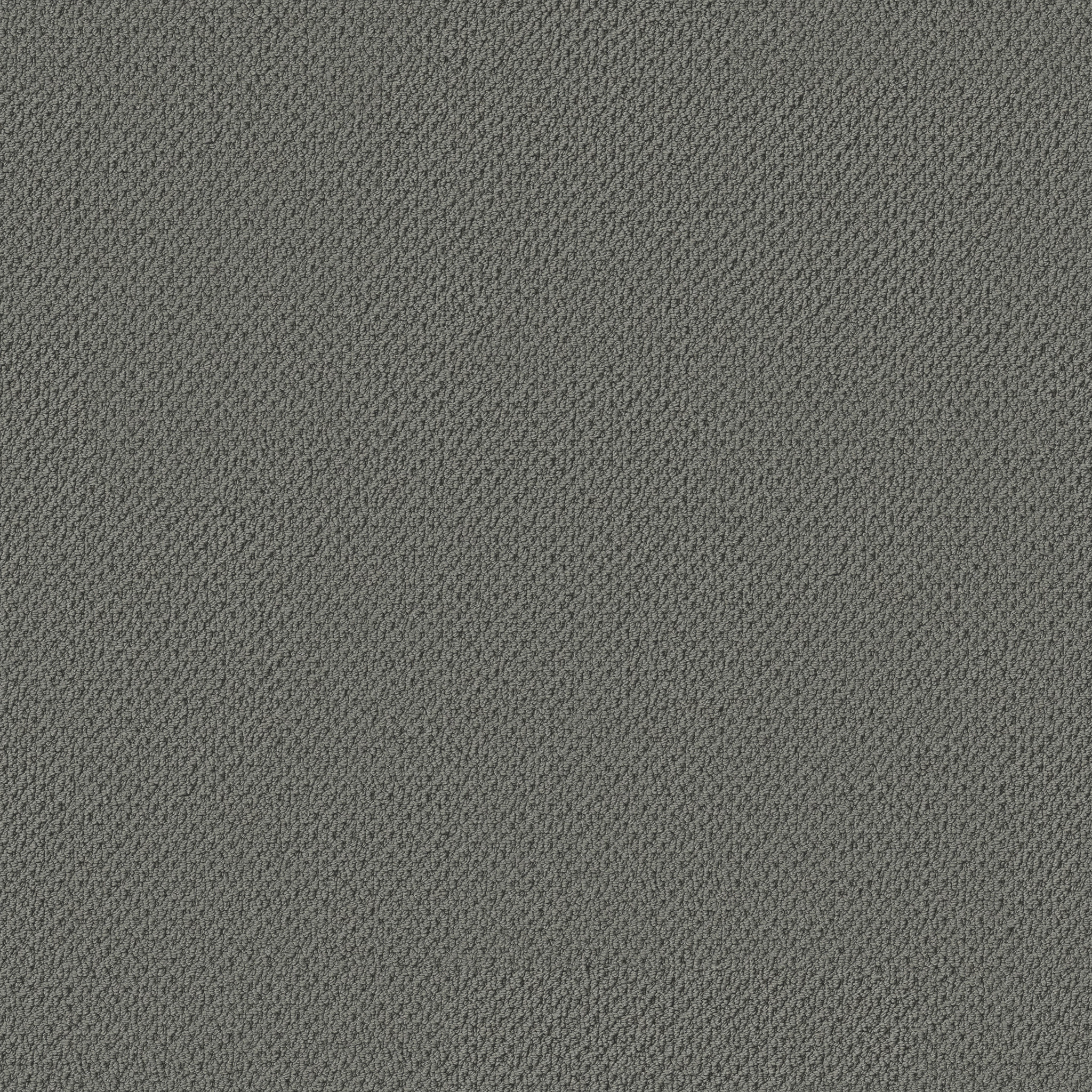 Serene Retreat-Smoky Gray-ZB325_00552