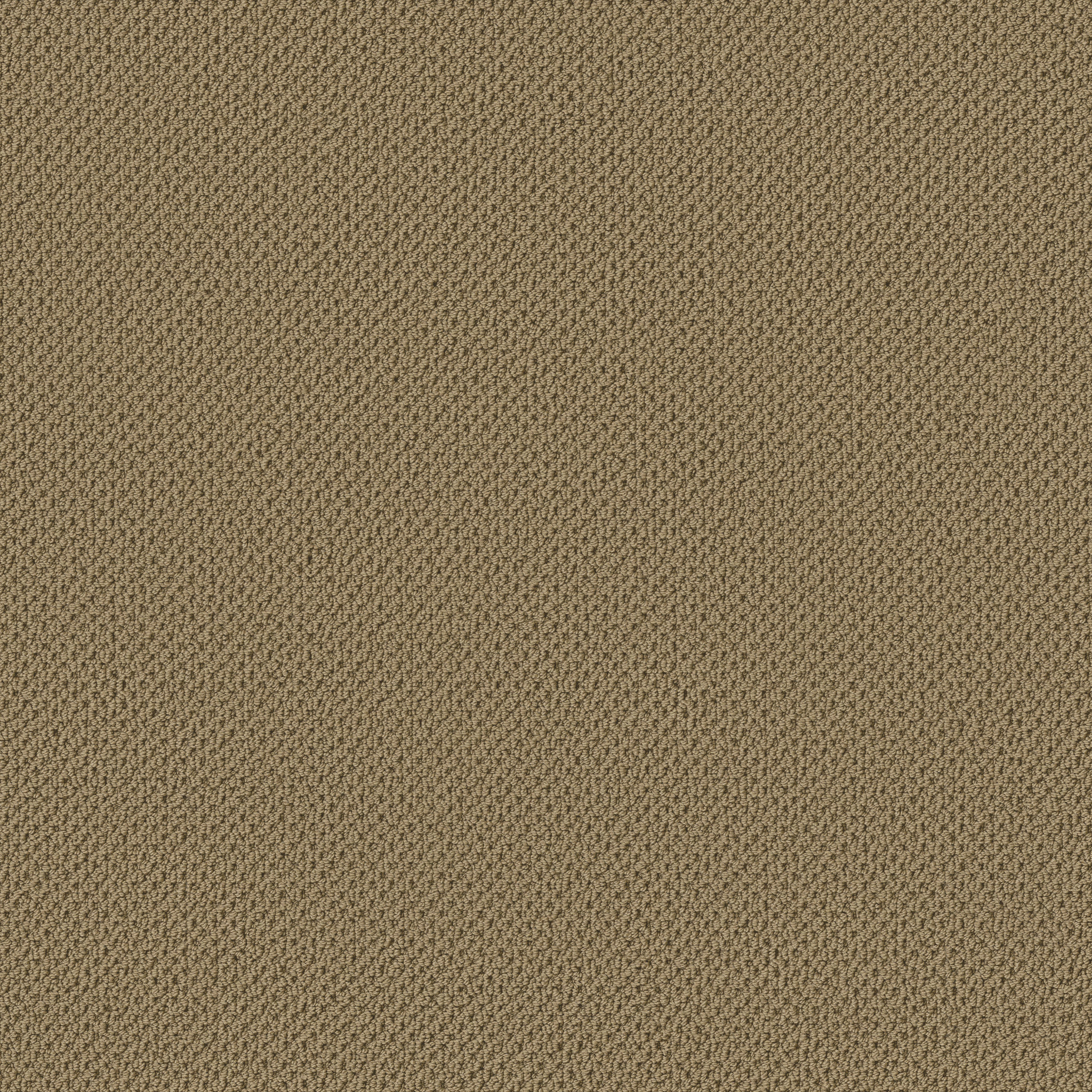 Serene Retreat-Warmth-ZB325_00702