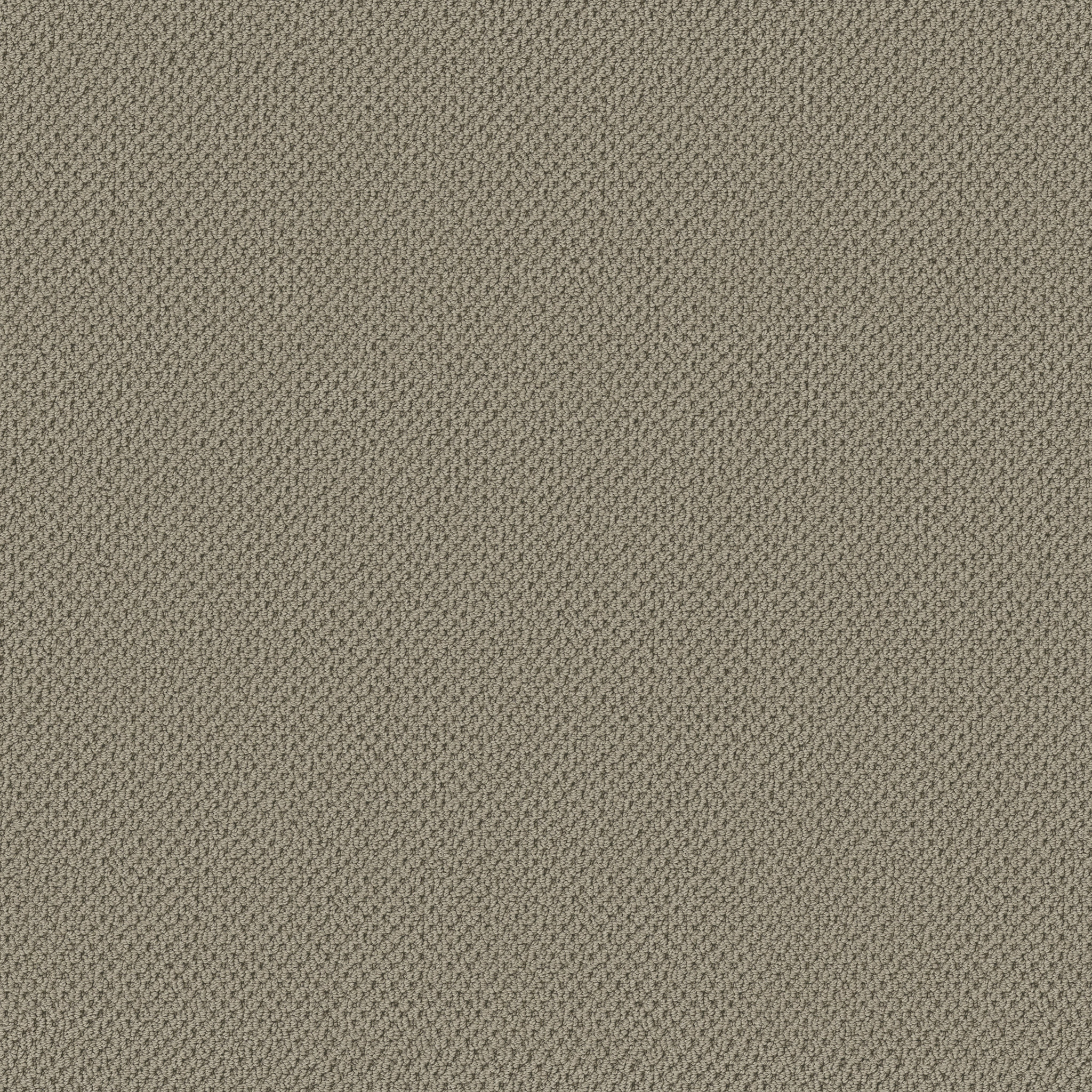 Serene Retreat-Mocha-ZB325_00750