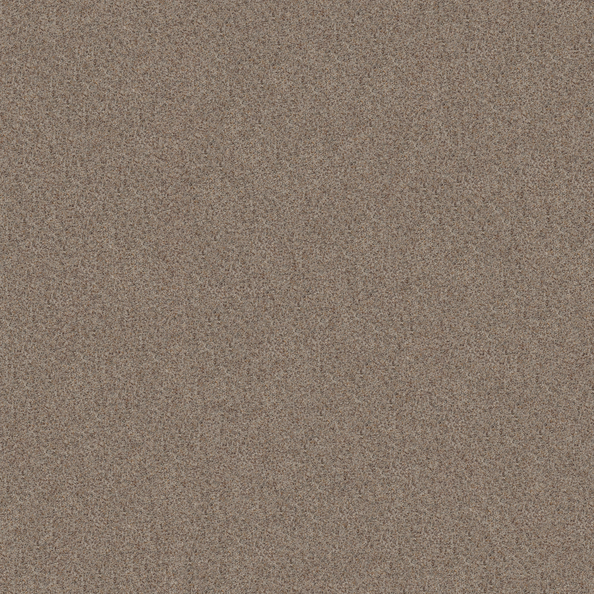 Captivated ZB334 0154B | Shaw Builder Flooring