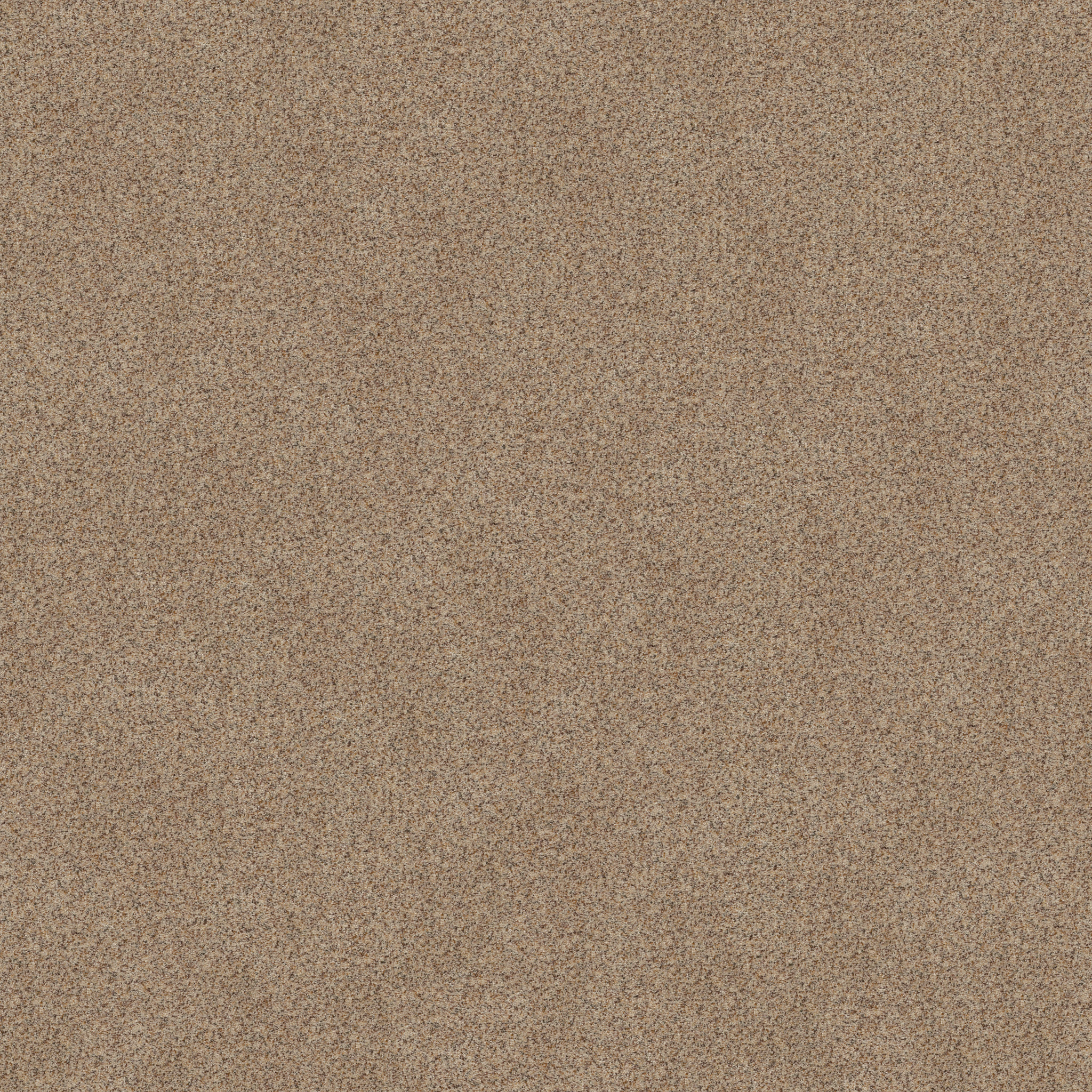 Captivated ZB334 0211B | Shaw Builder Flooring