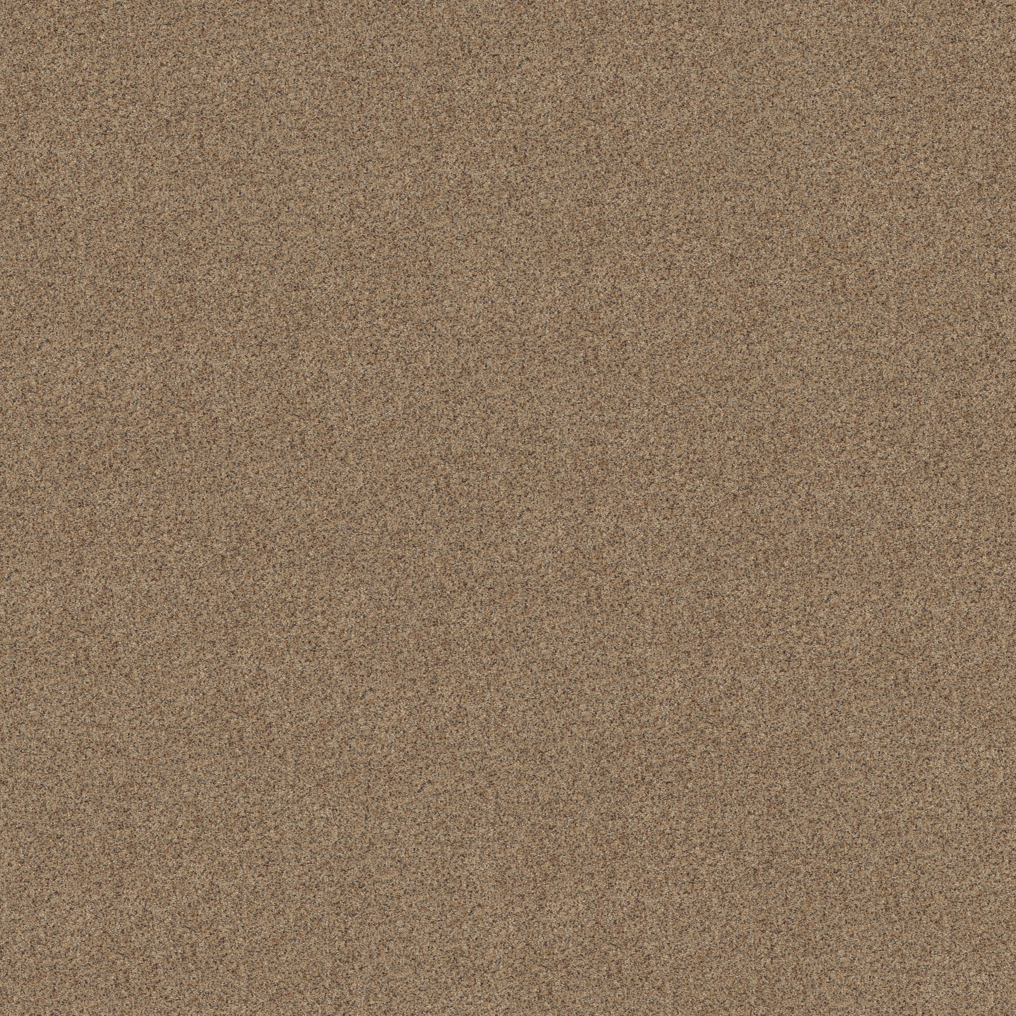 Captivated ZB334 0213B | Shaw Builder Flooring