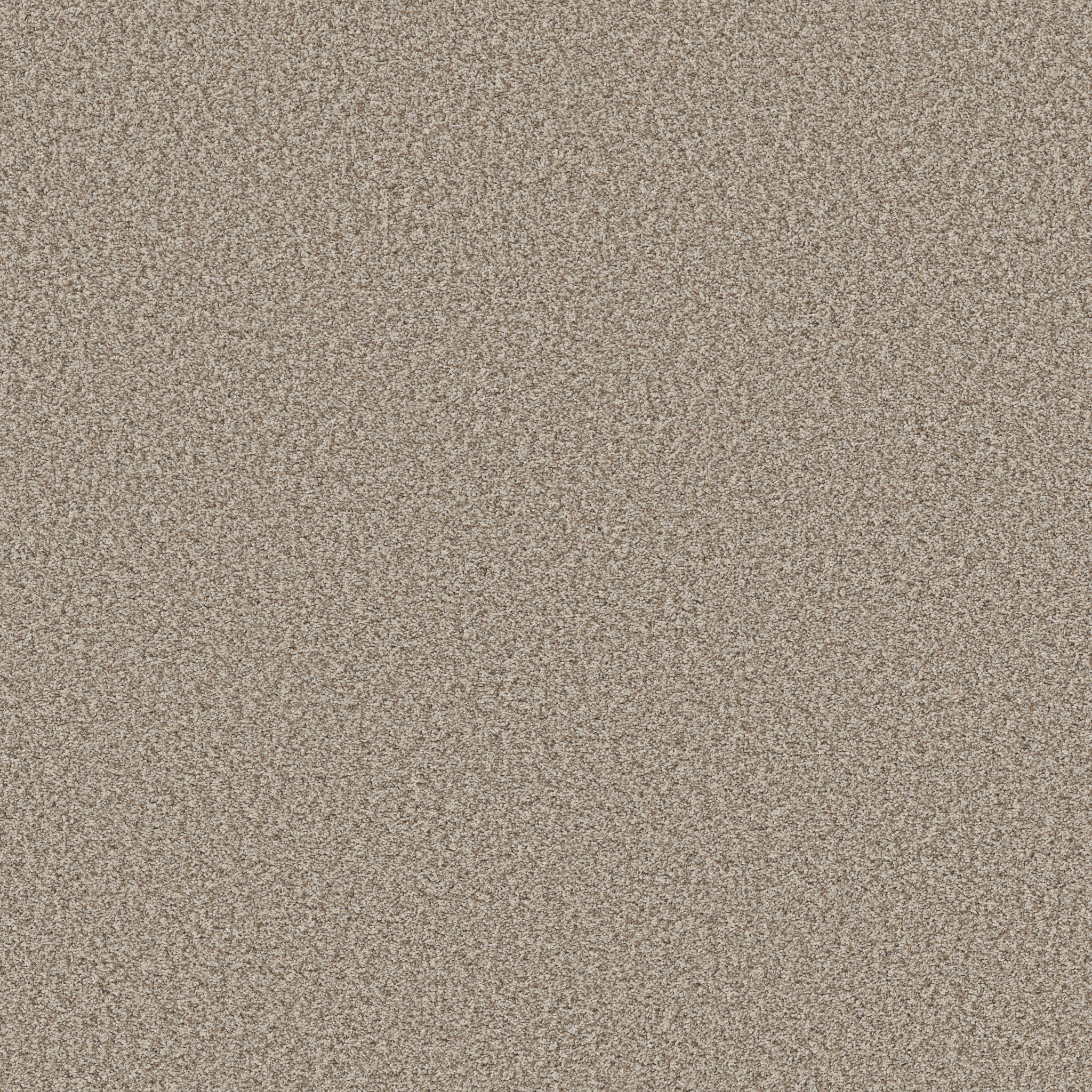 ♧ トゥームストーン BBBF-1013 Premier Beauty ZB335 00172 | Shaw Builder Flooring