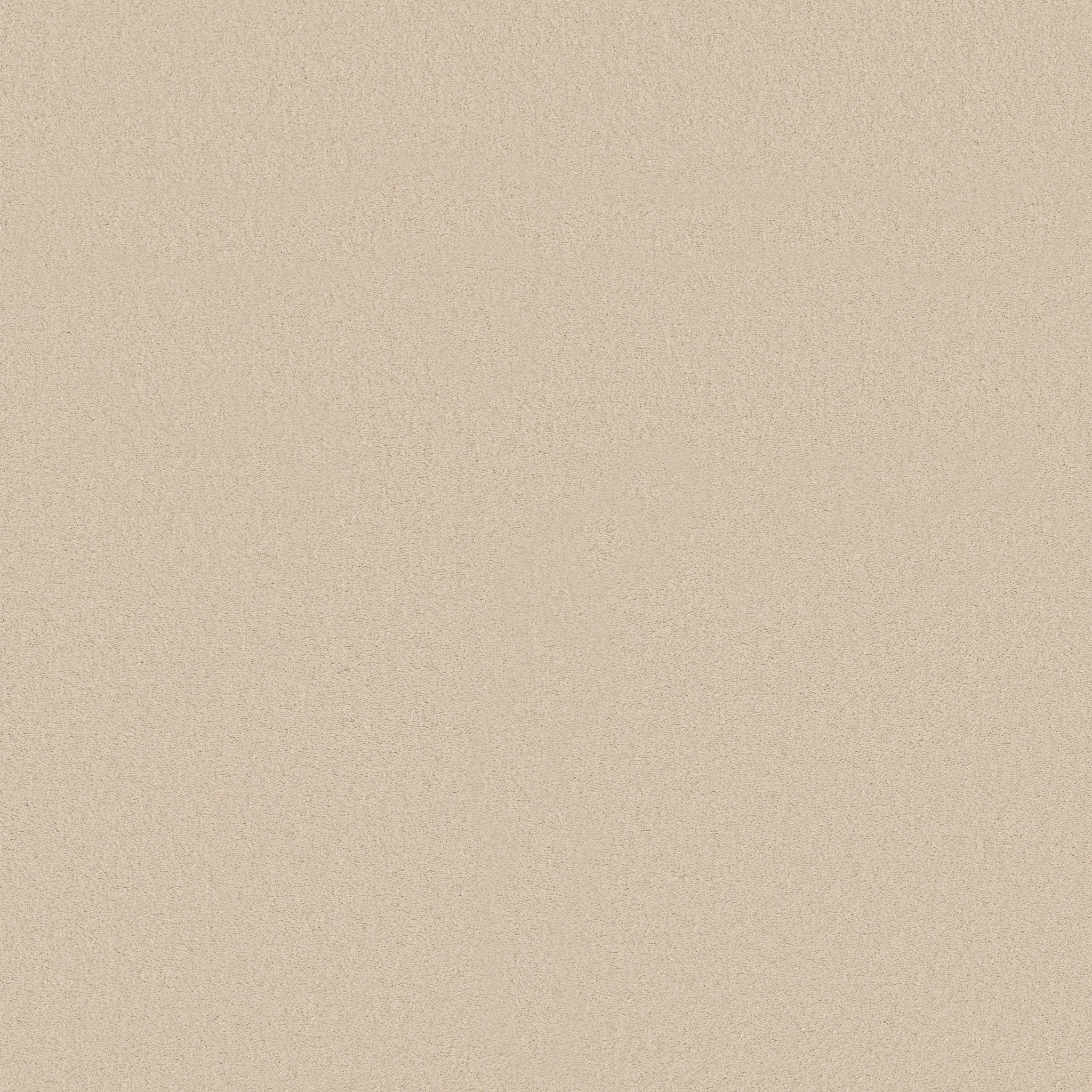 Splendor-French Buff-ZB351_00153