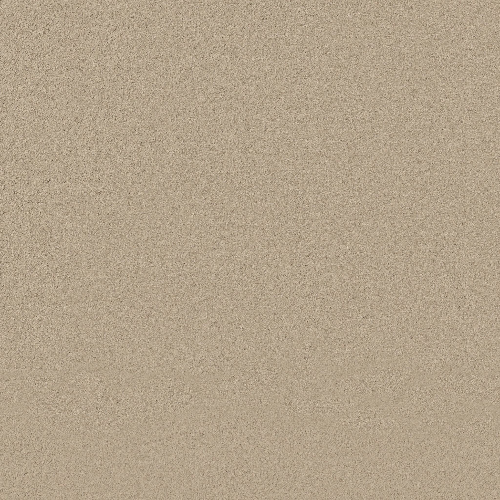 Splendor-Cake Batter-ZB351_00154