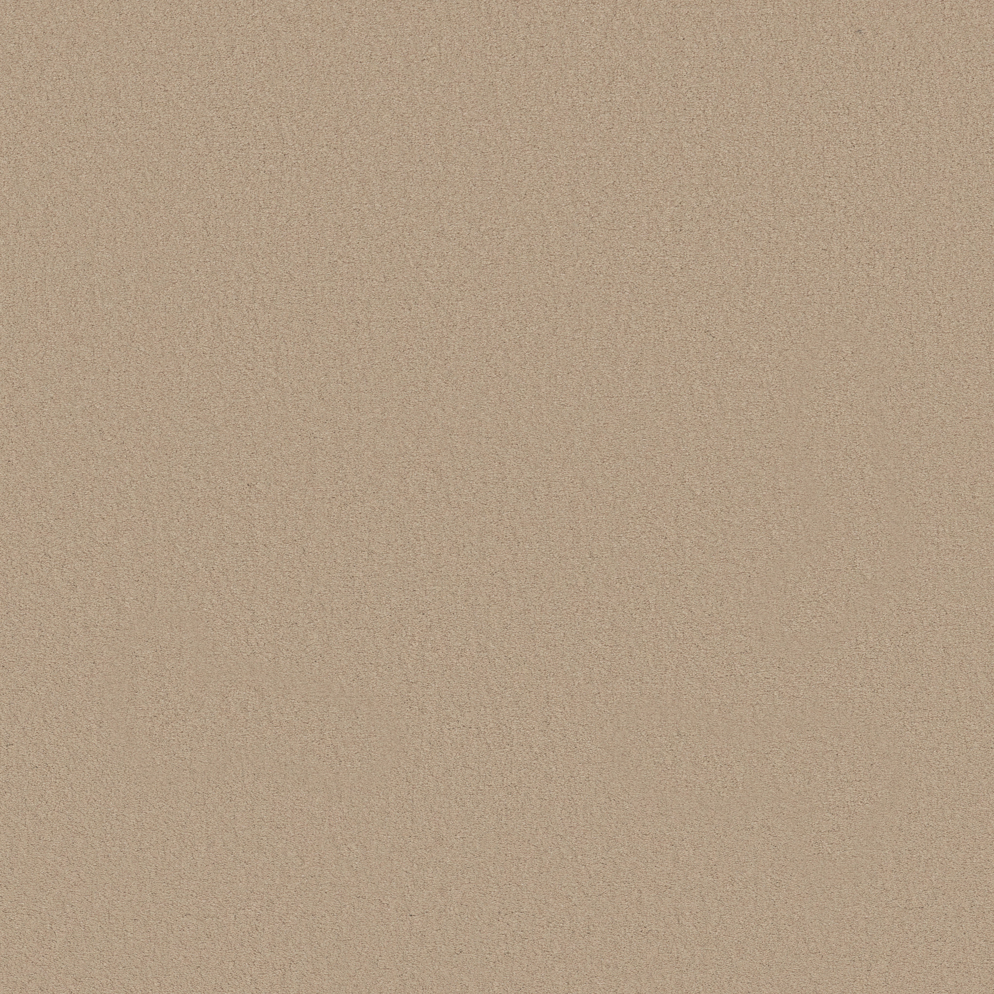 Splendor-Cashmere-ZB351_00155