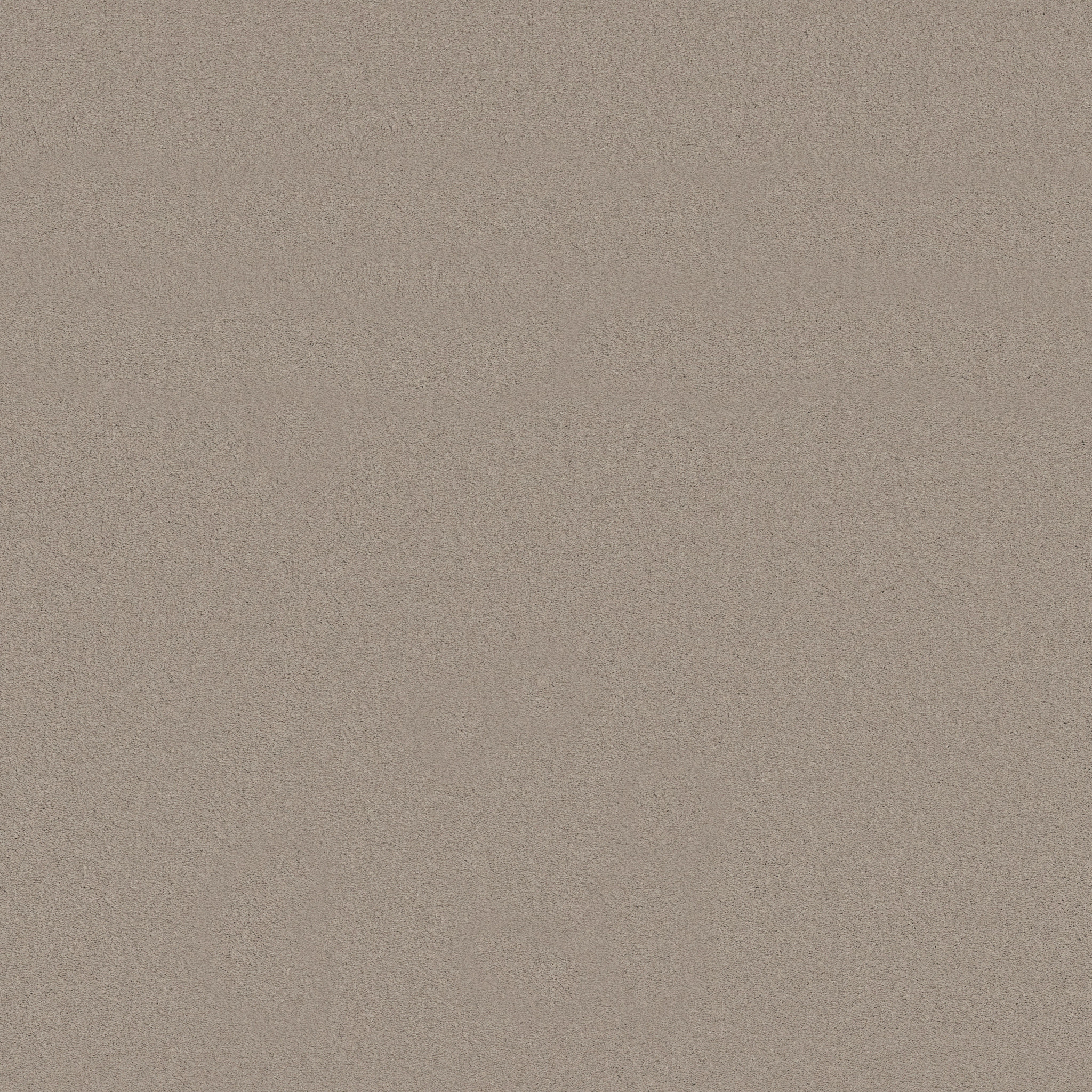 Splendor-Putty-ZB351_00157