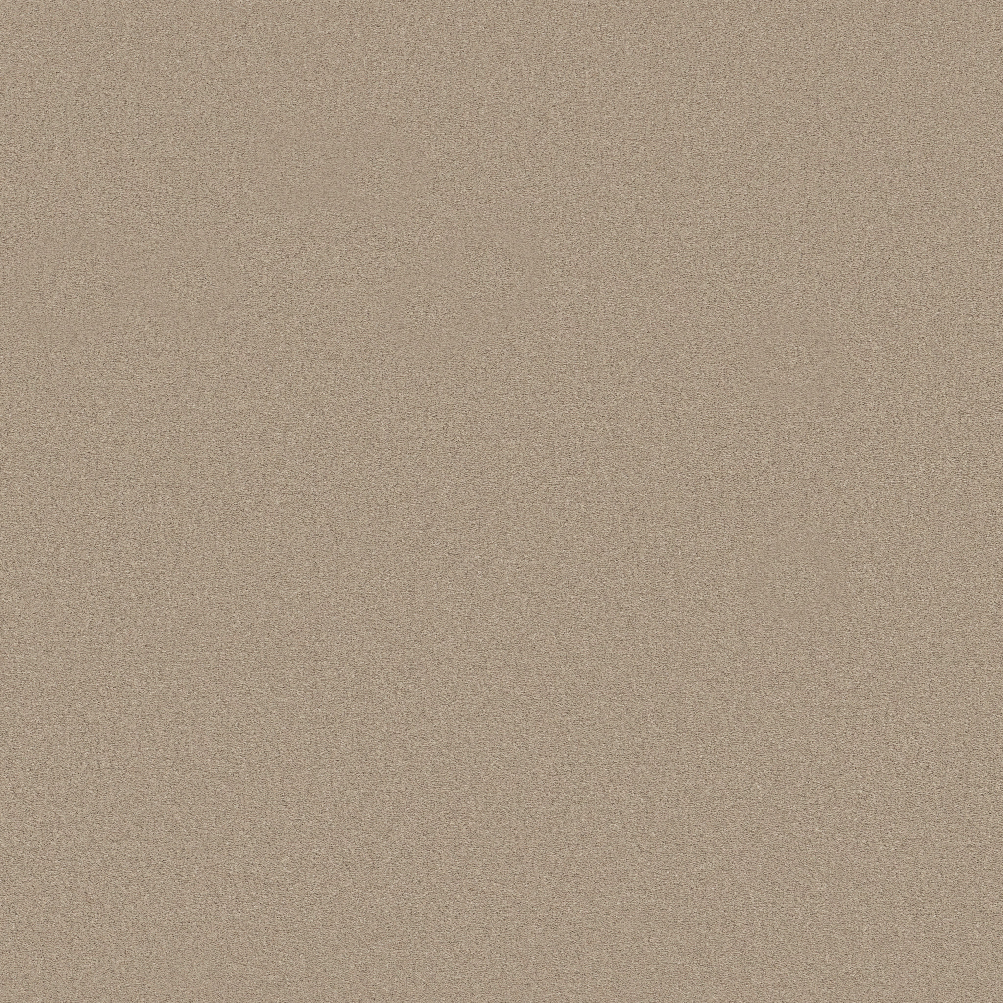 Splendor-Sand Bar-ZB351_00158