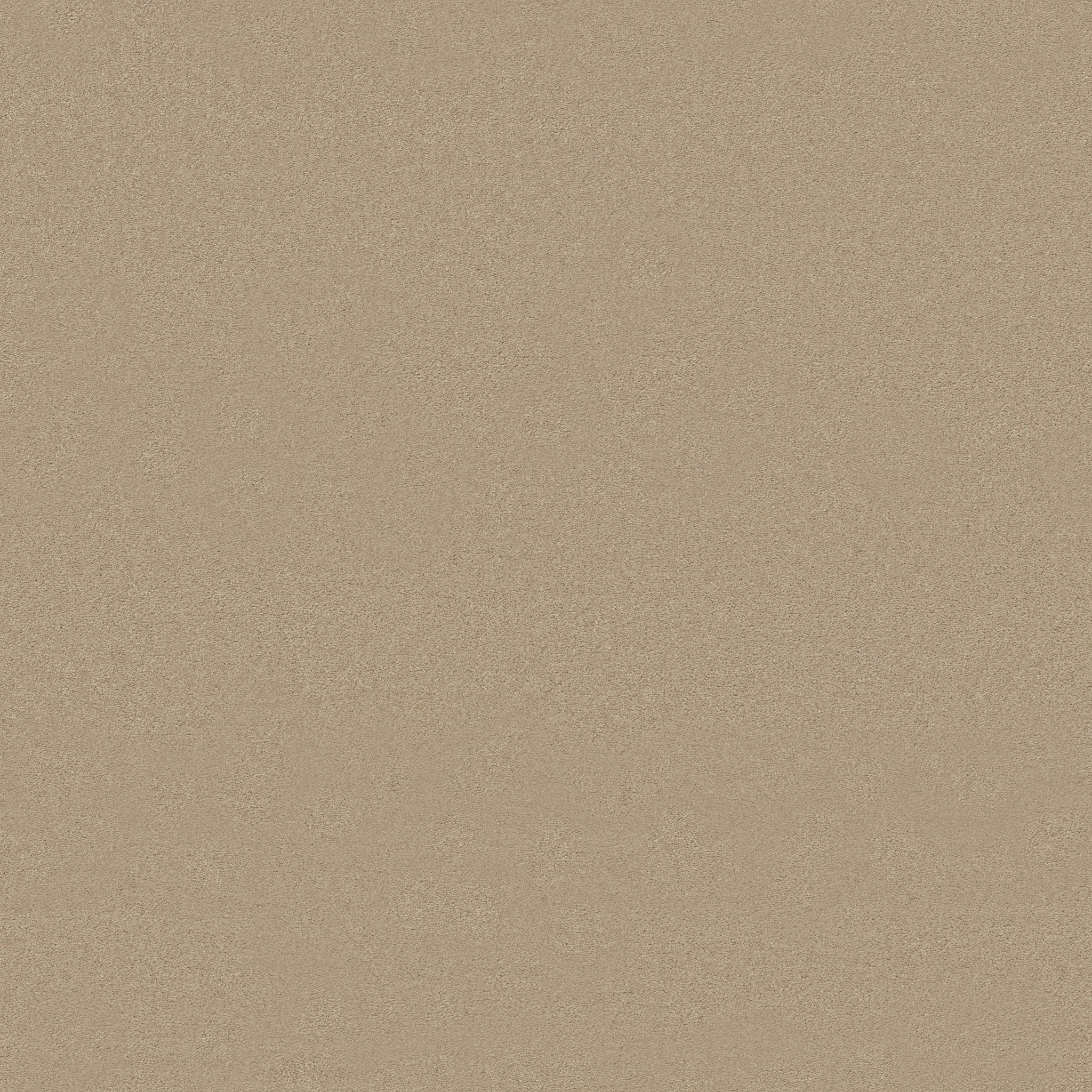 Splendor-Toasted Almond-ZB351_00159