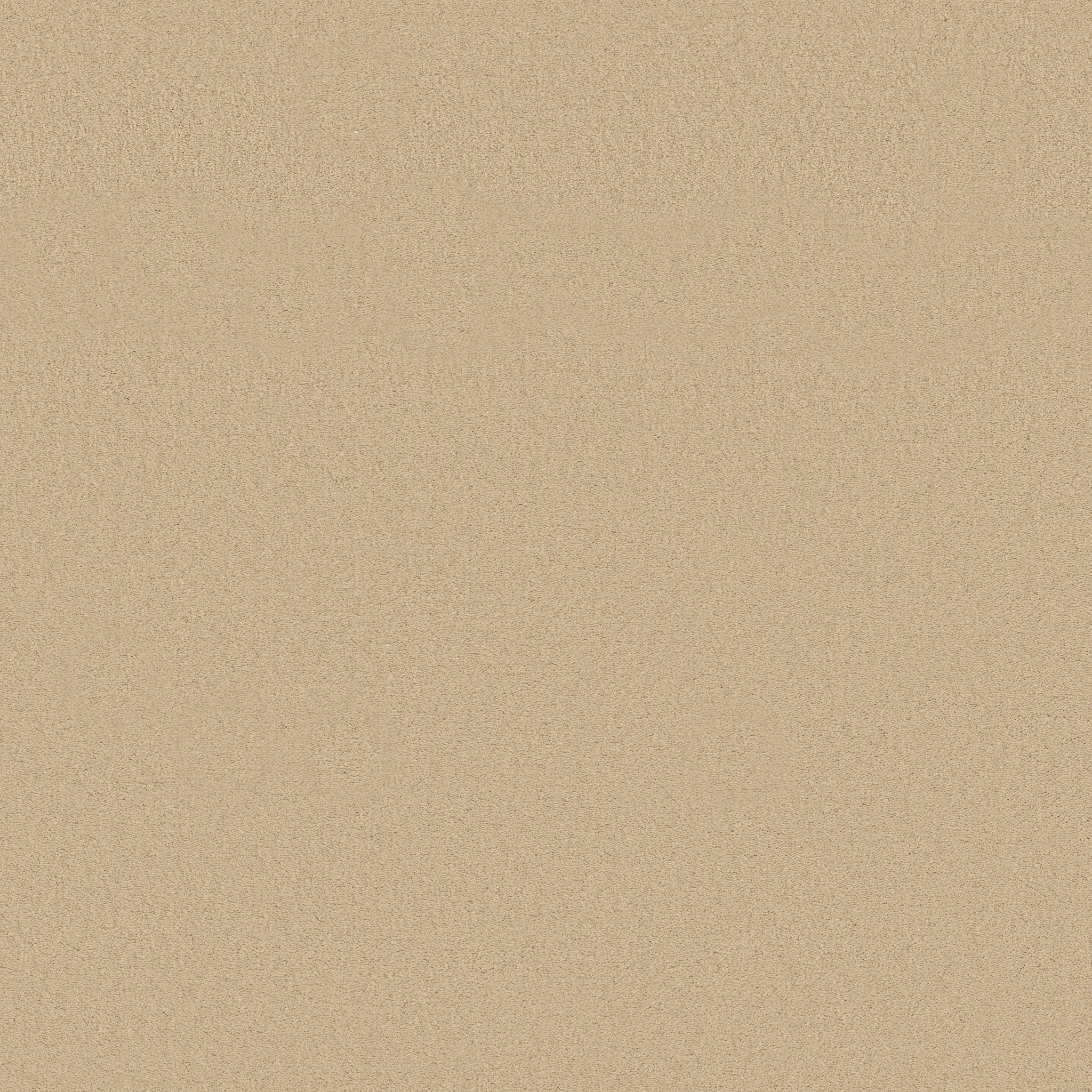 Splendor-Fresh Cream-ZB351_00250