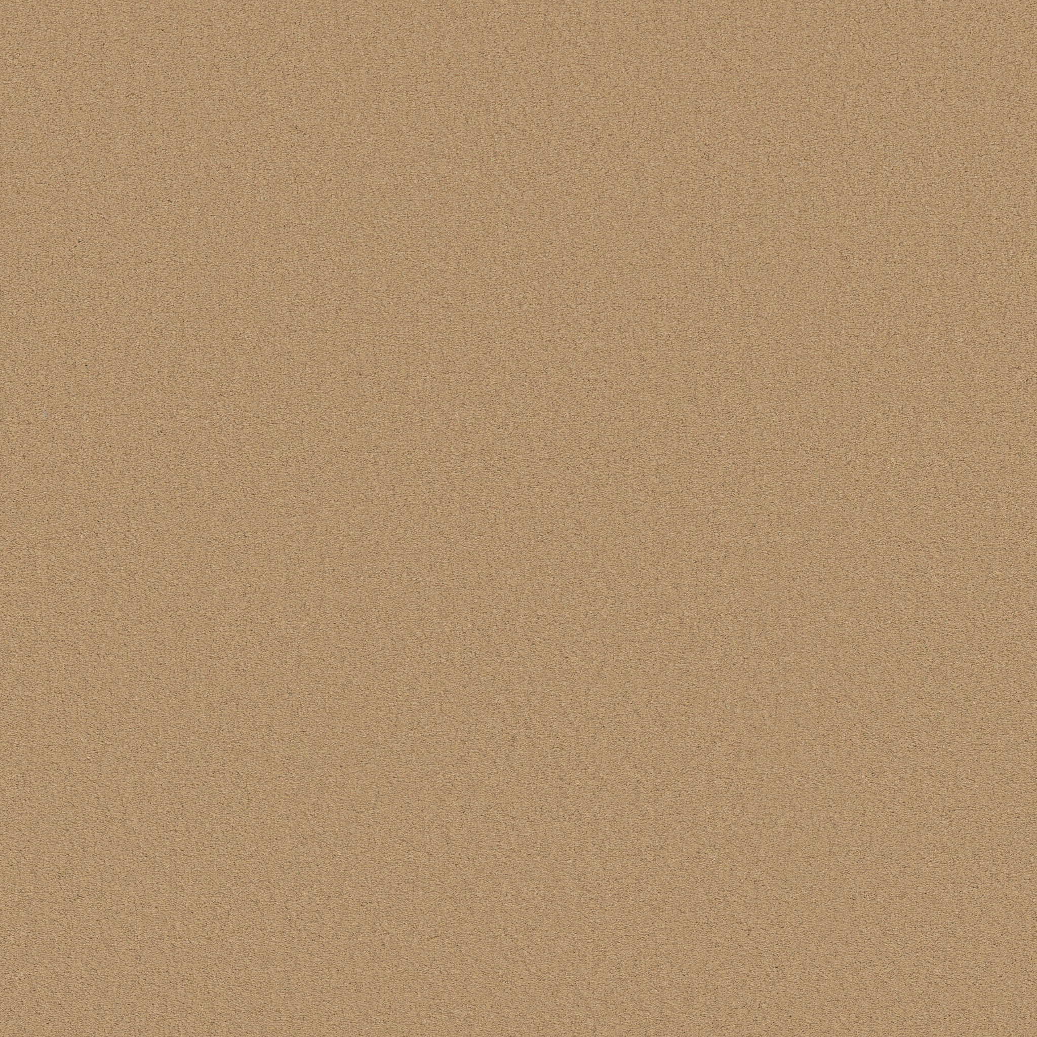 Splendor-Lamp Light-ZB351_00251