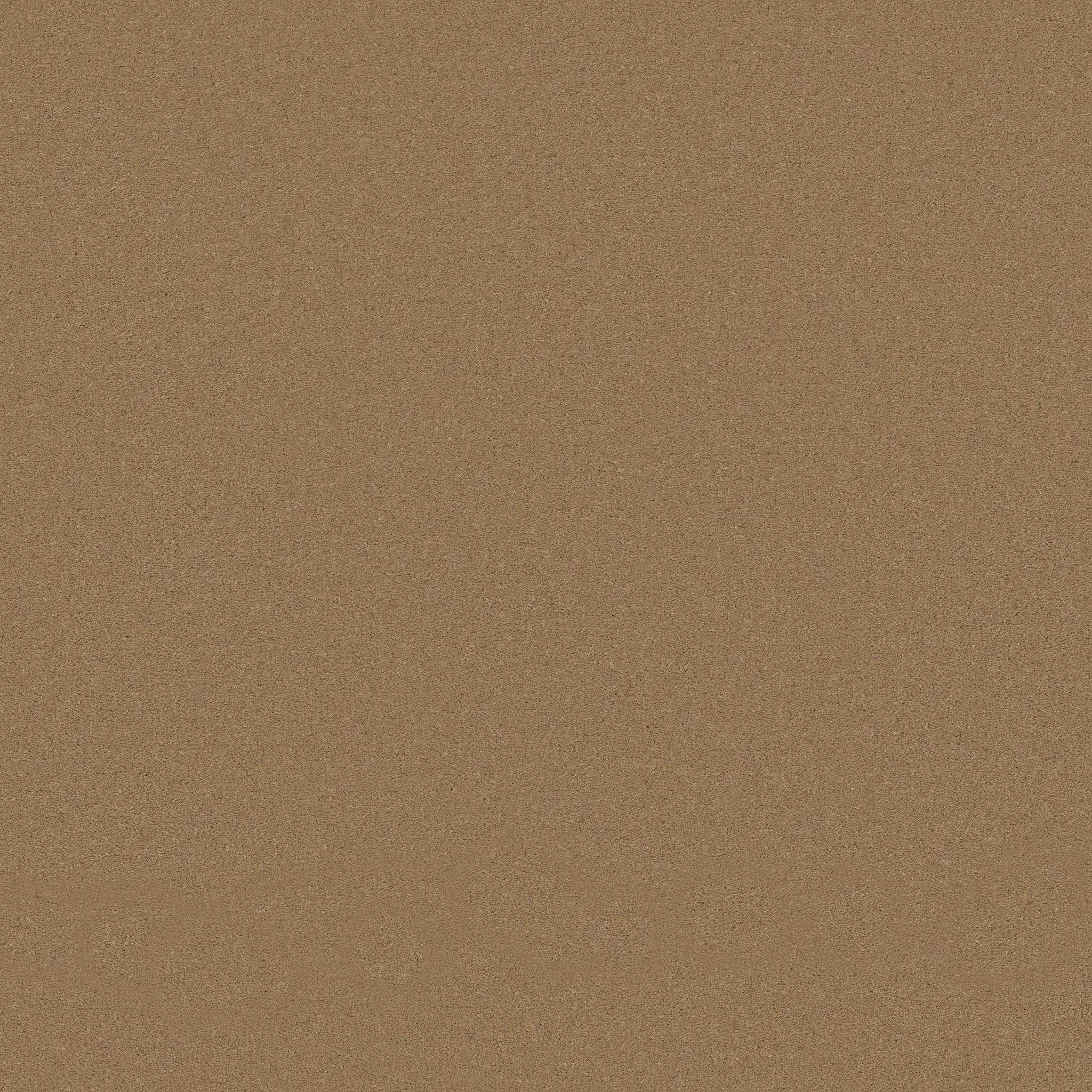 Splendor-Cider-ZB351_00252