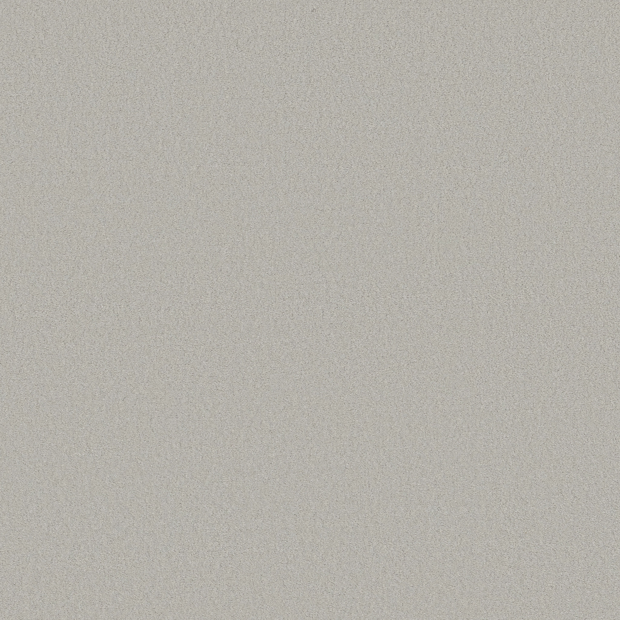 Splendor-Feather Bed-ZB351_00550