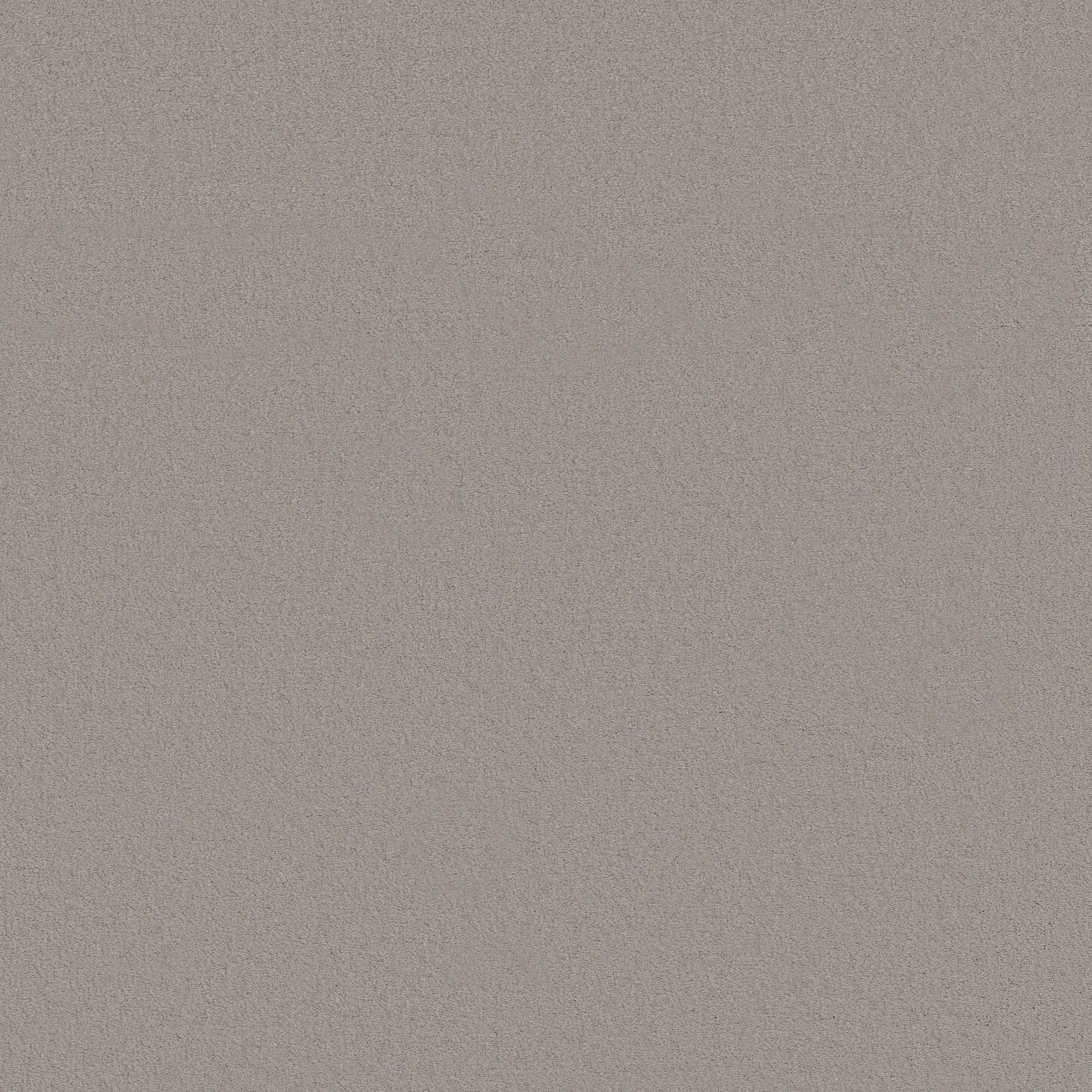 Splendor-Concrete-ZB351_00551