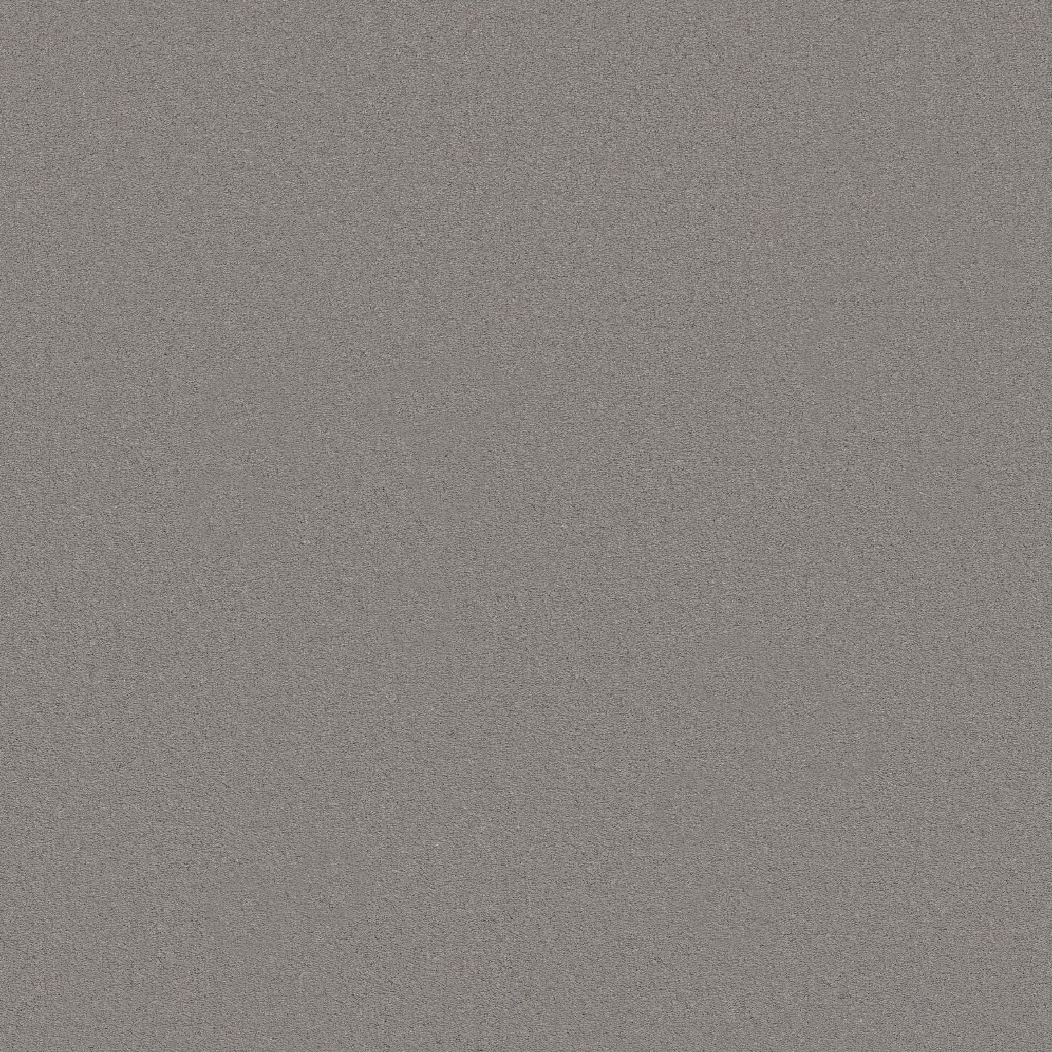 Splendor-Stone-ZB351_00552