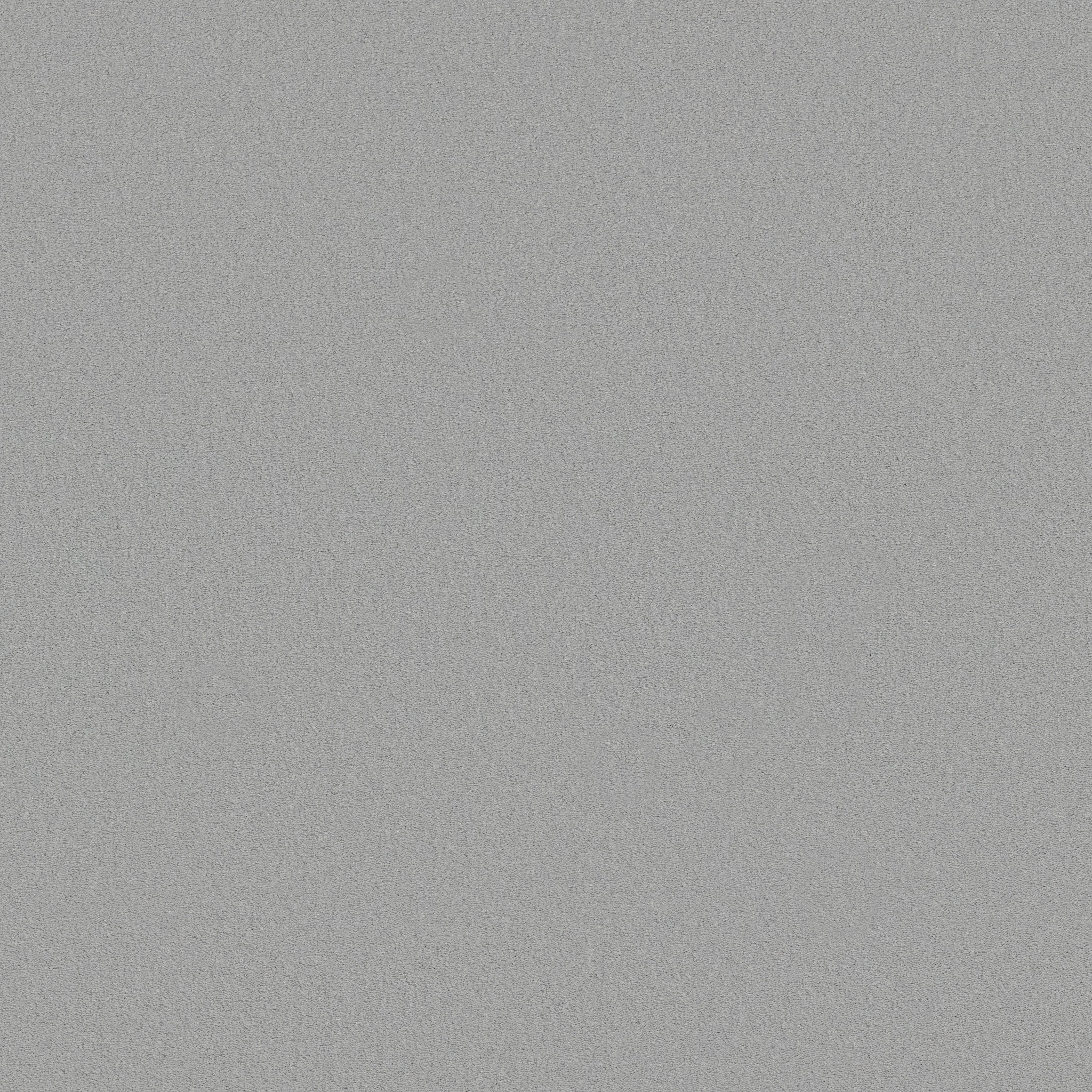 Splendor-Rain Dance-ZB351_00554