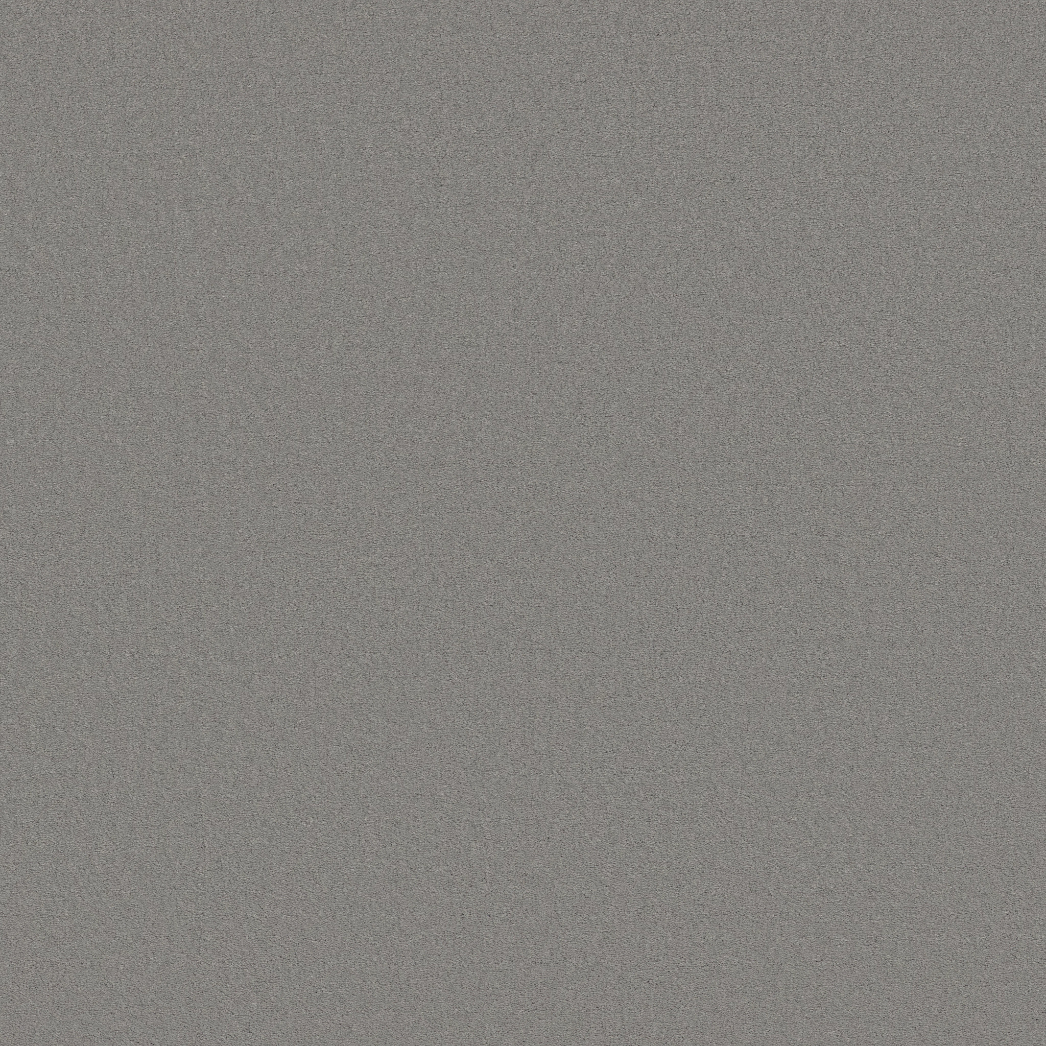 Splendor-Fish Hook-ZB351_00555