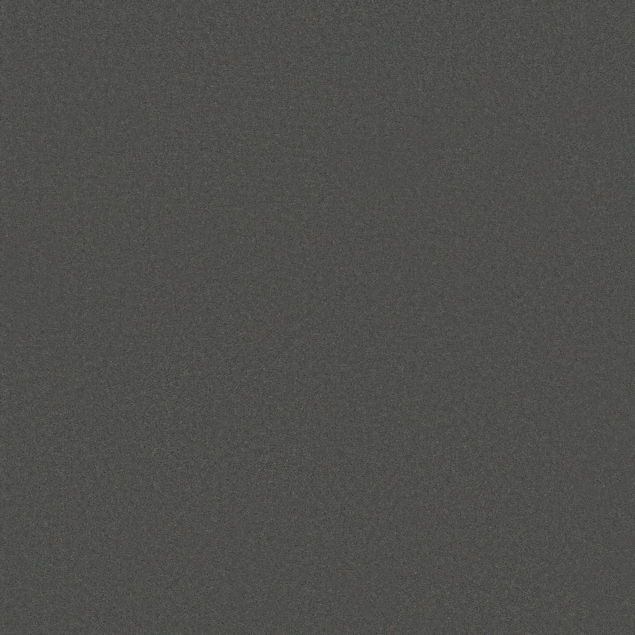 Splendor-Anchor-ZB351_00556