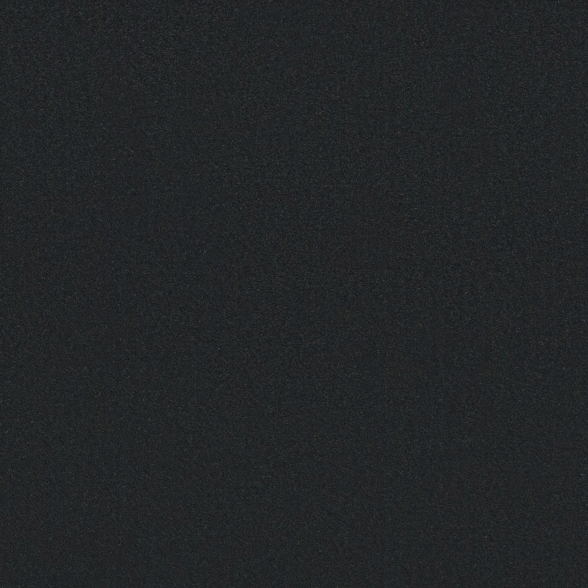 Splendor-Onyx-ZB351_00557