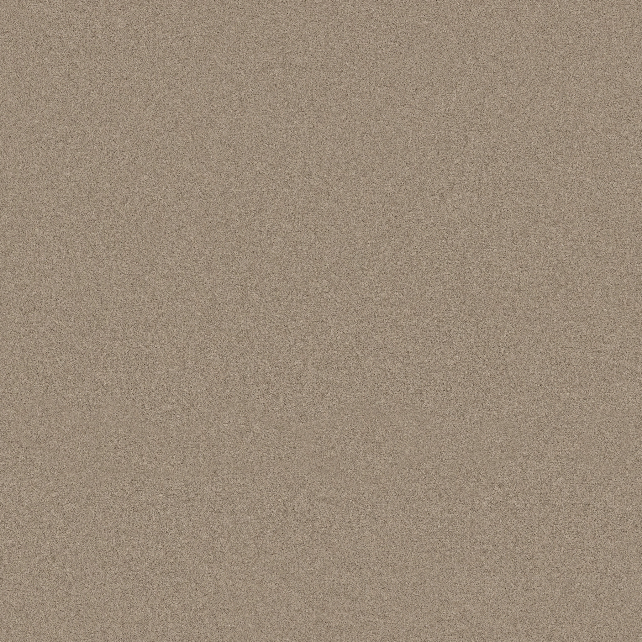 Splendor-Crisp Khaki-ZB351_00750