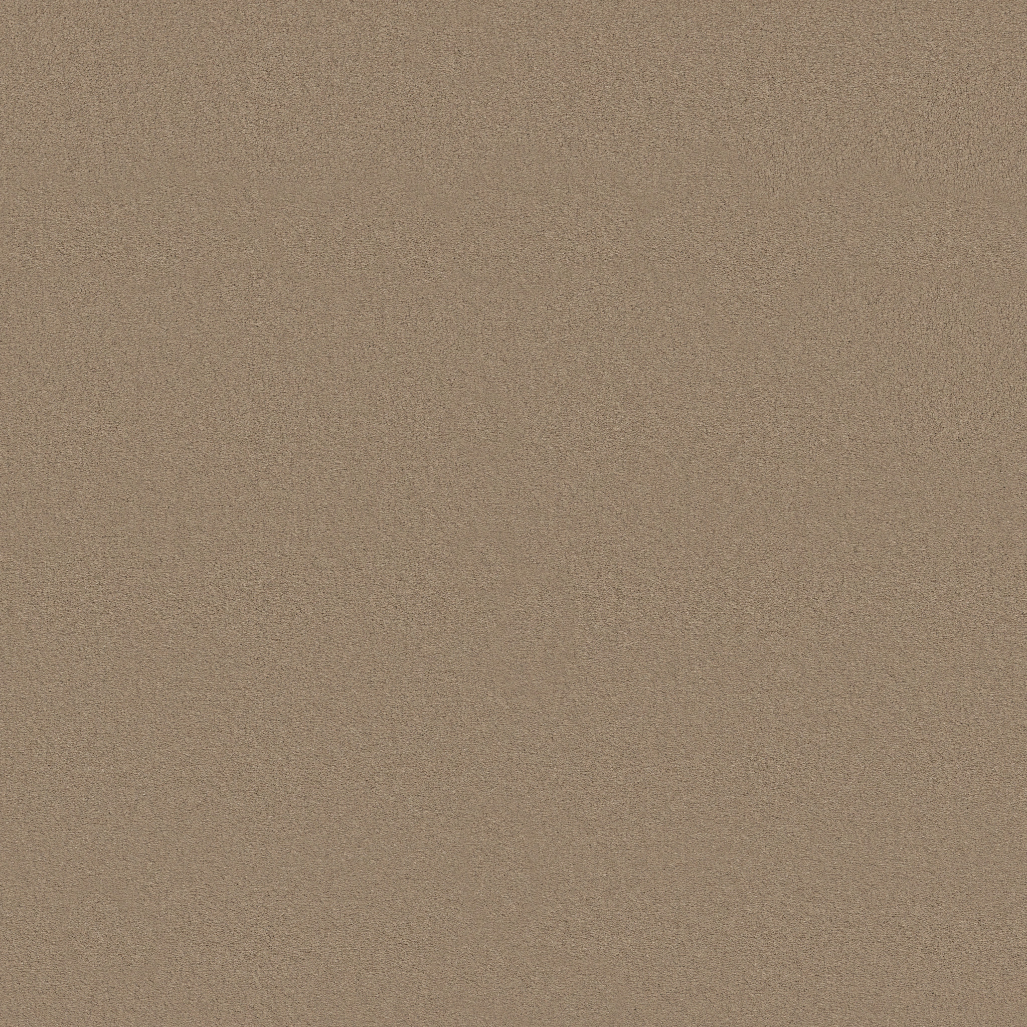 Splendor-Oak Ridge-ZB351_00751