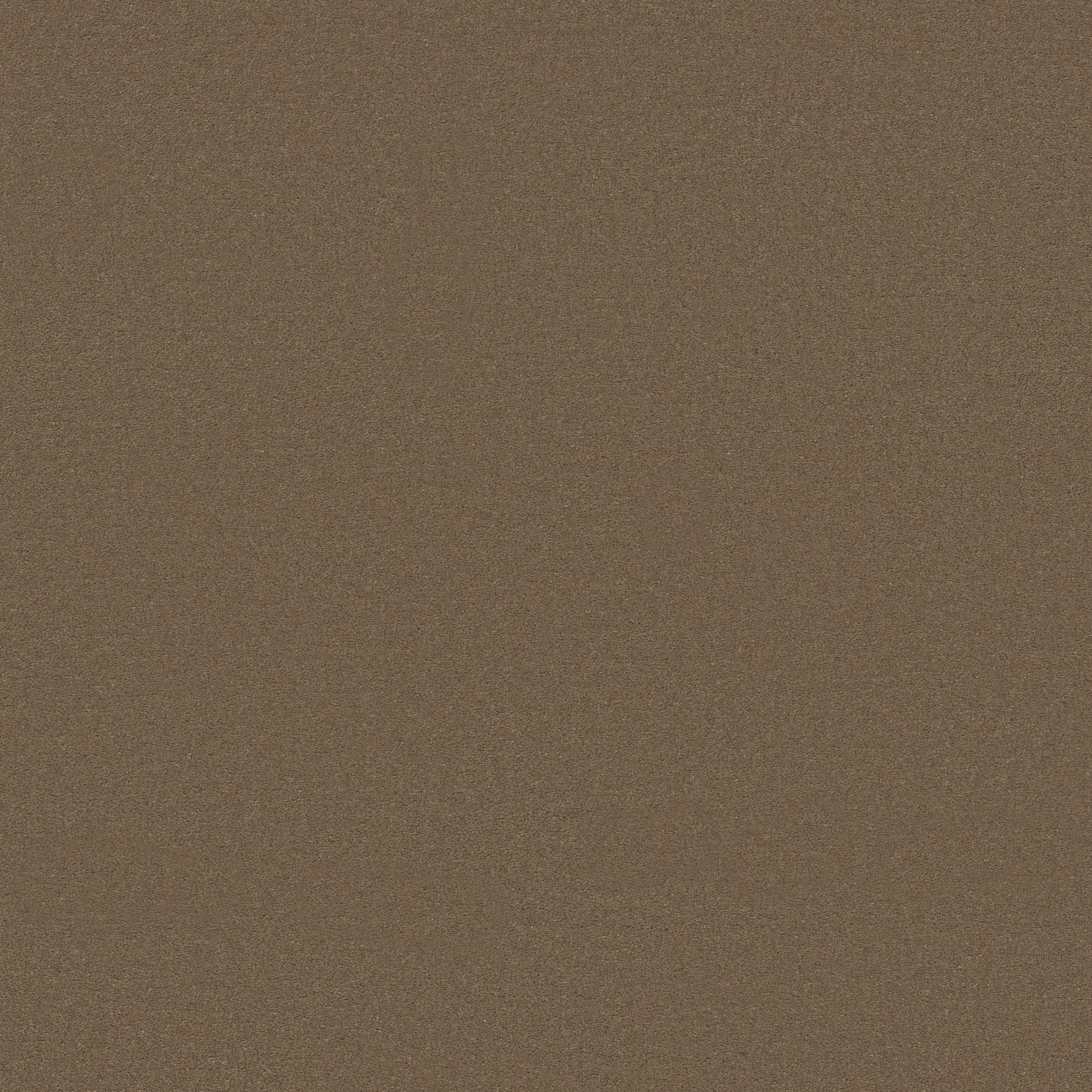 Splendor-Hawk-ZB351_00752