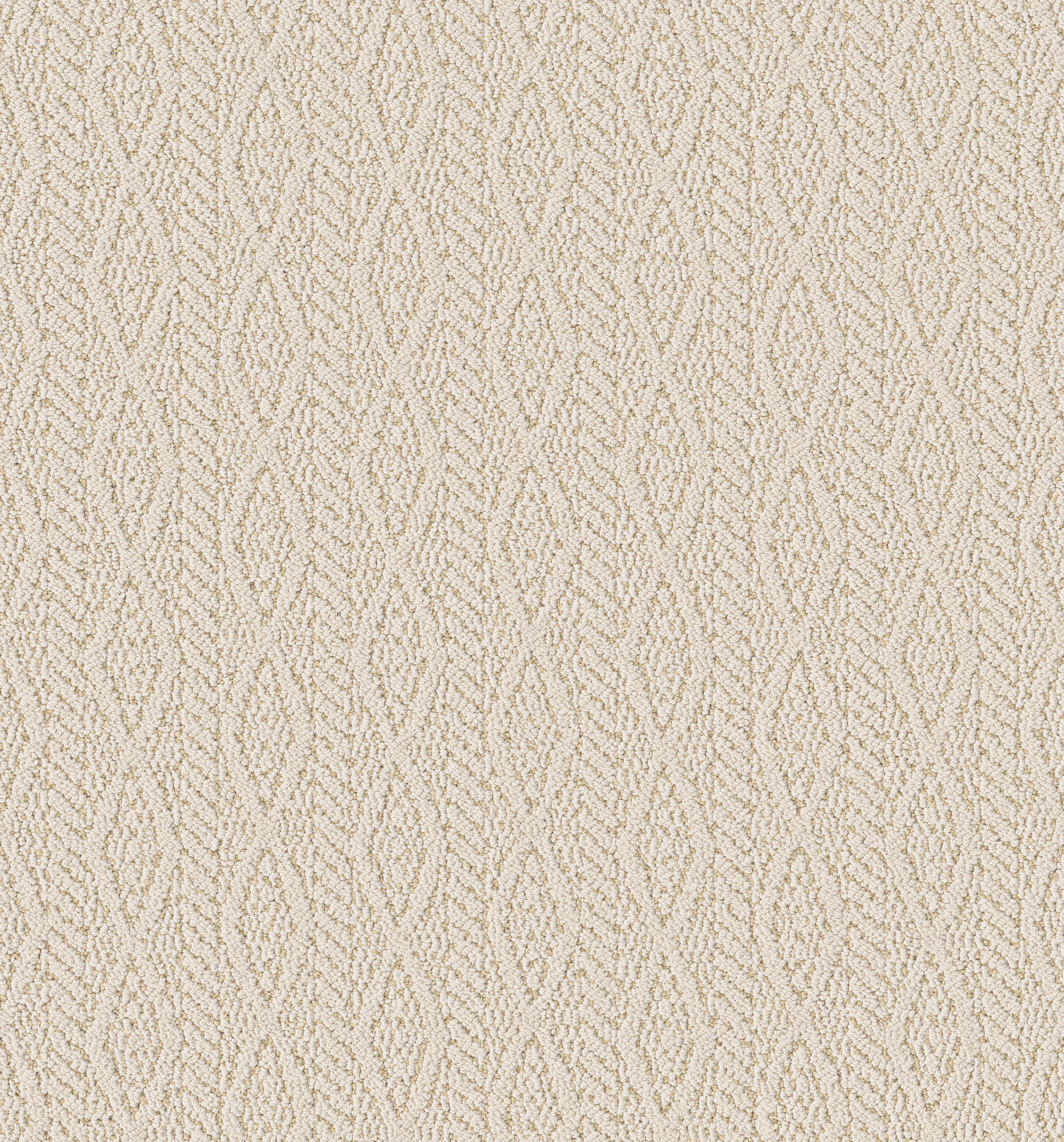 Brocade - Irish Cream - ZB352_00100