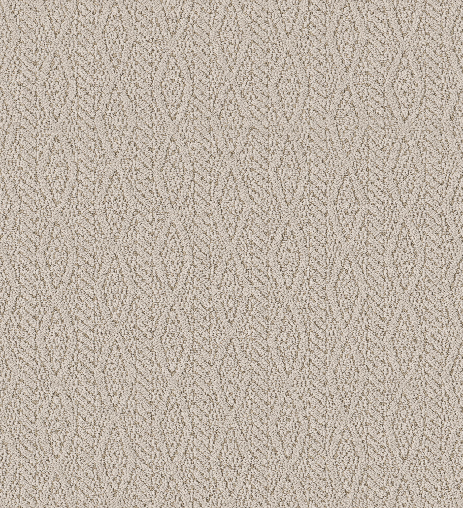 Brocade-Putty-ZB352_00105